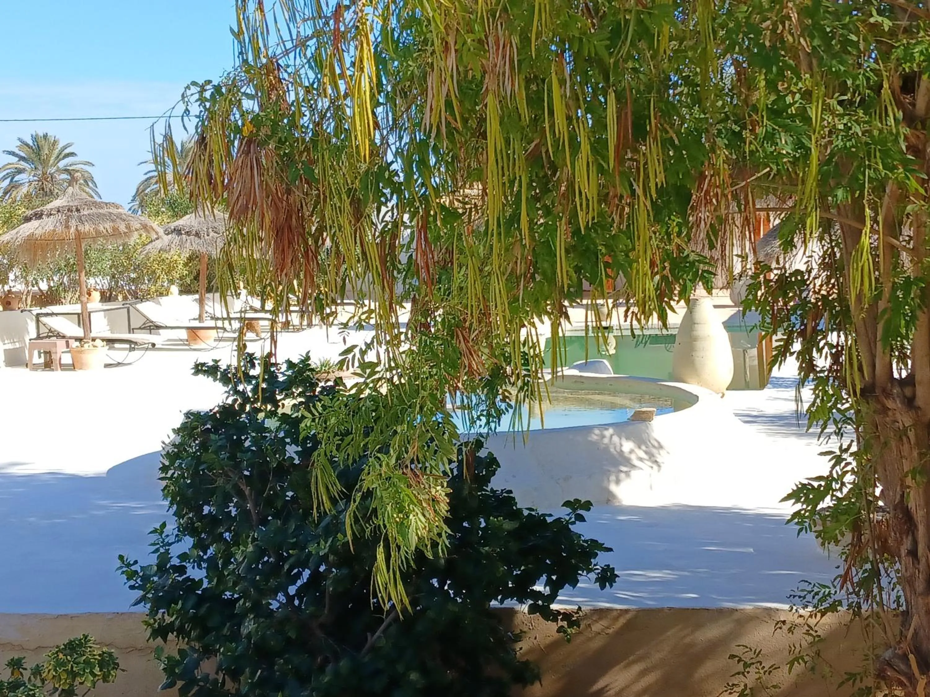 Pool view in Menzel Sonia Caja