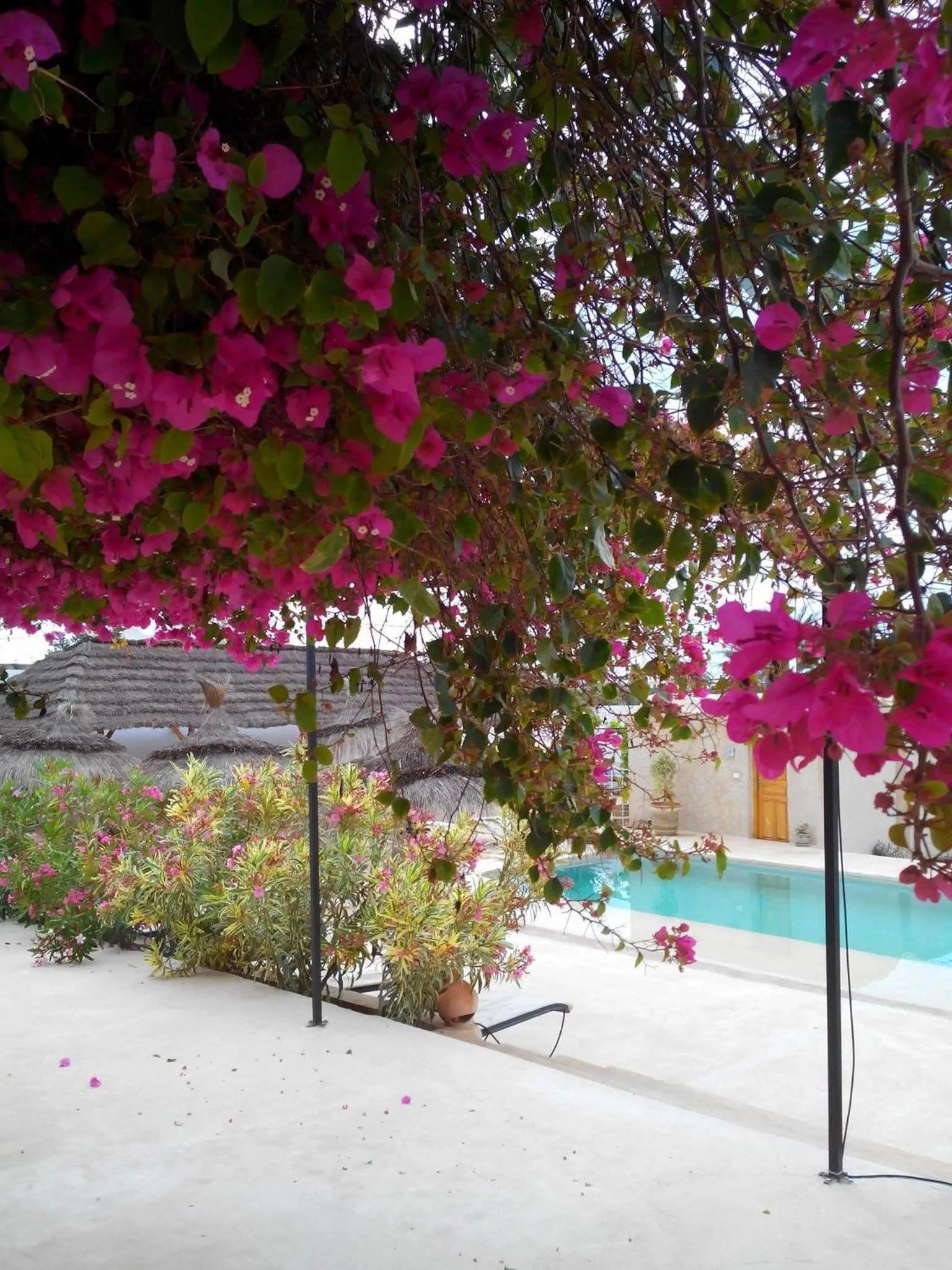 Pool view in Menzel Sonia Caja