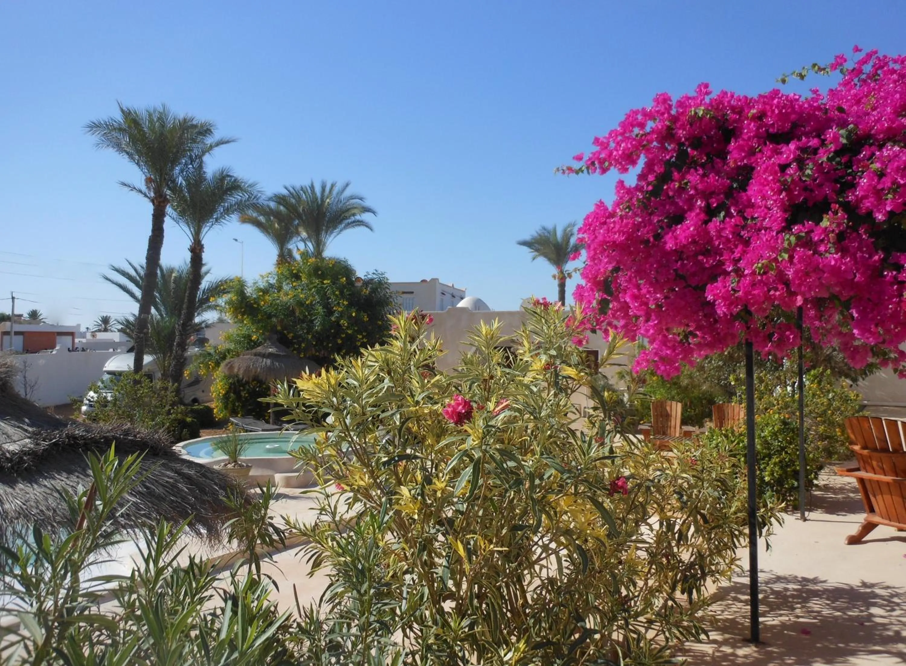 Pool view in Menzel Sonia Caja