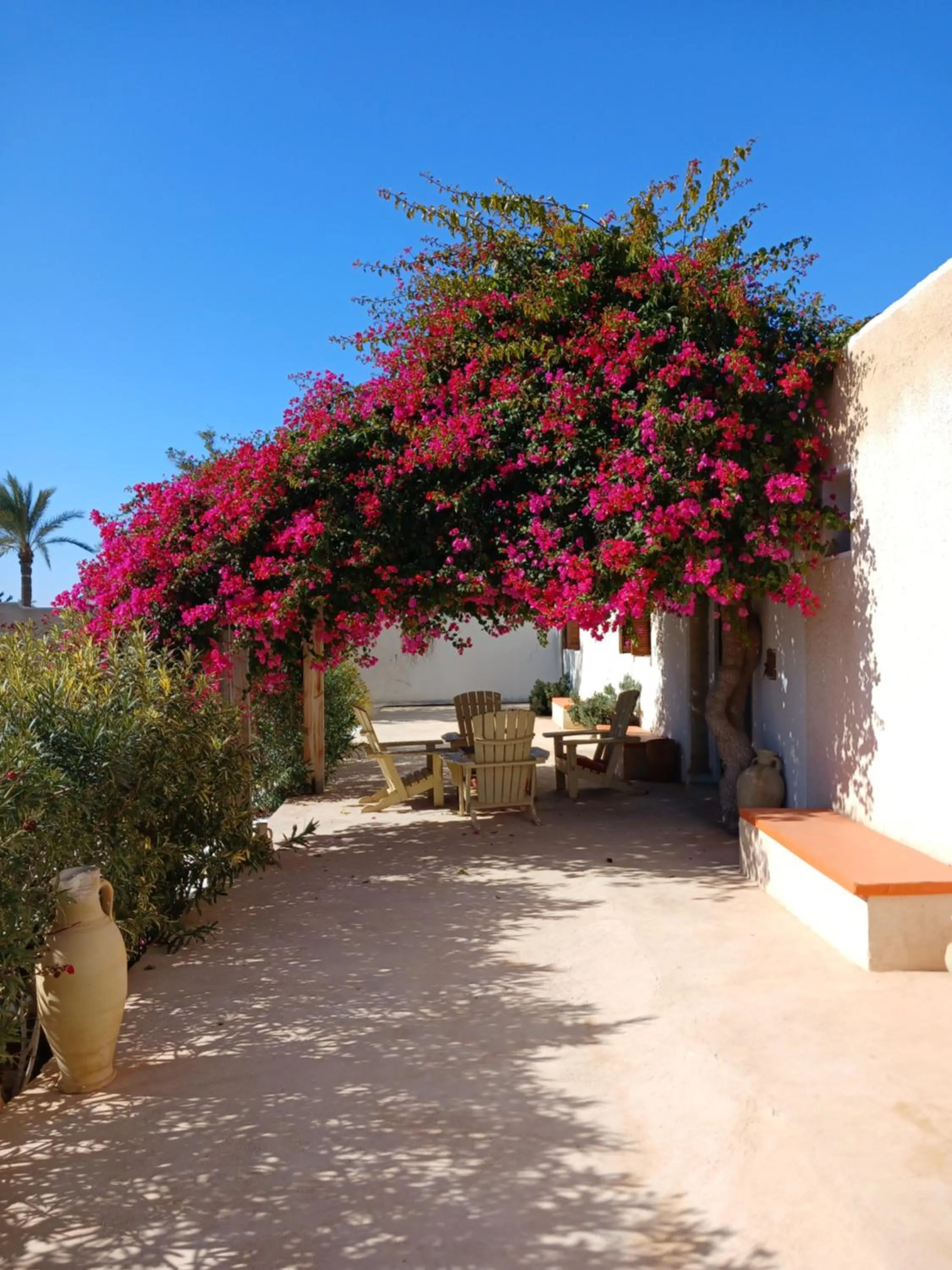 Facade/entrance in Menzel Sonia Caja