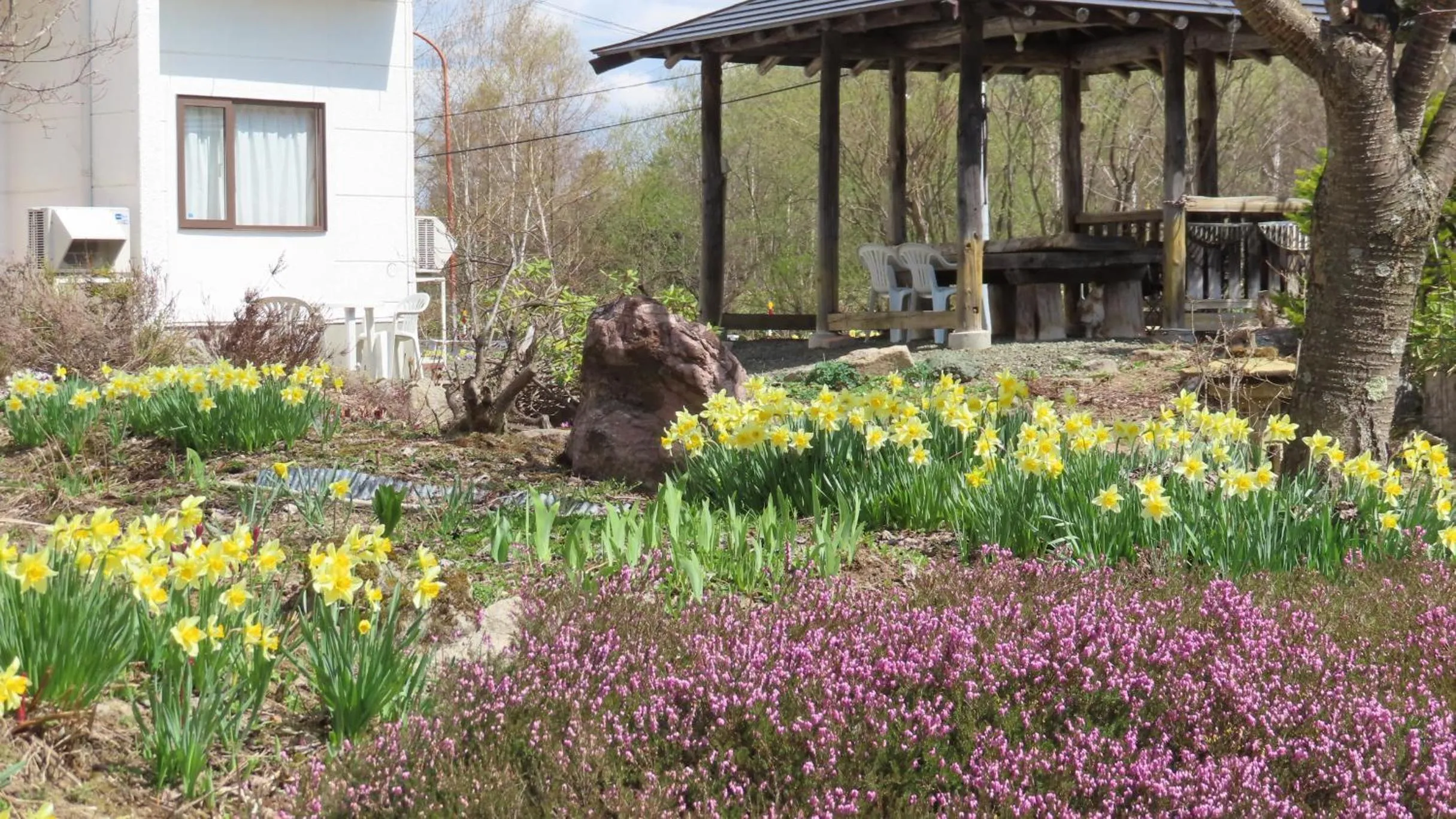 Garden in Coro Coro
