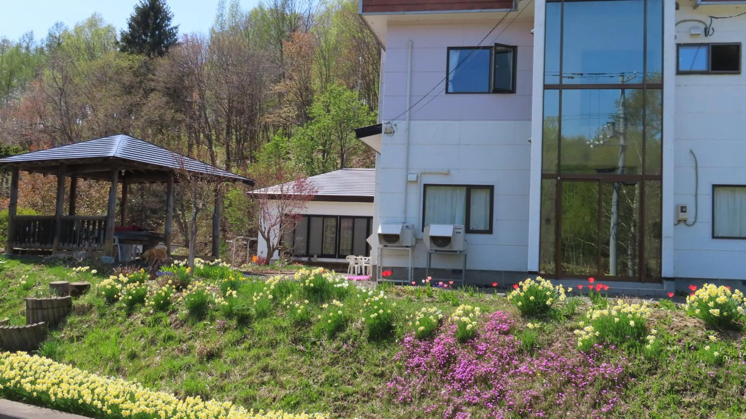 Property building in Coro Coro