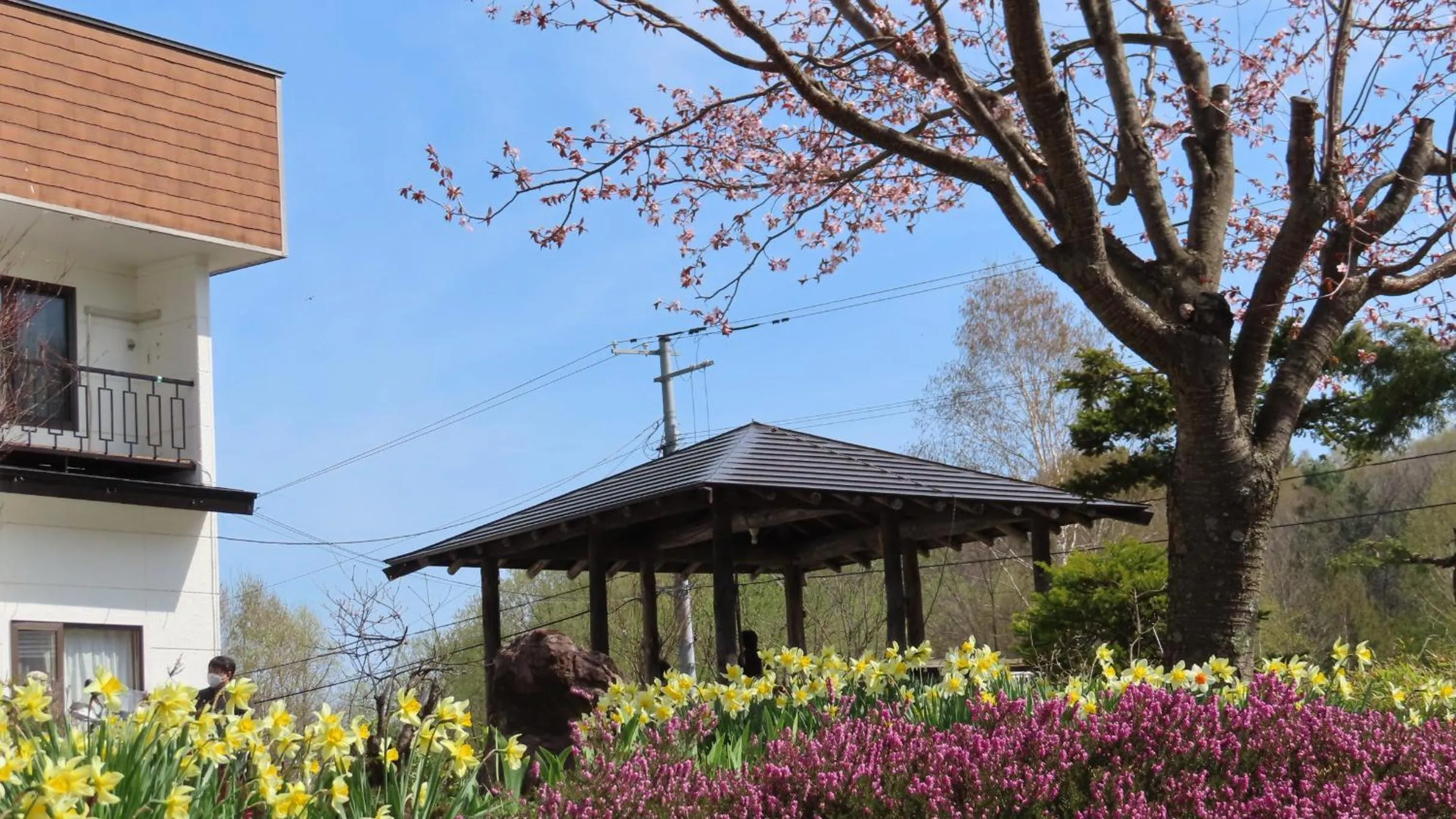 Spring in Coro Coro