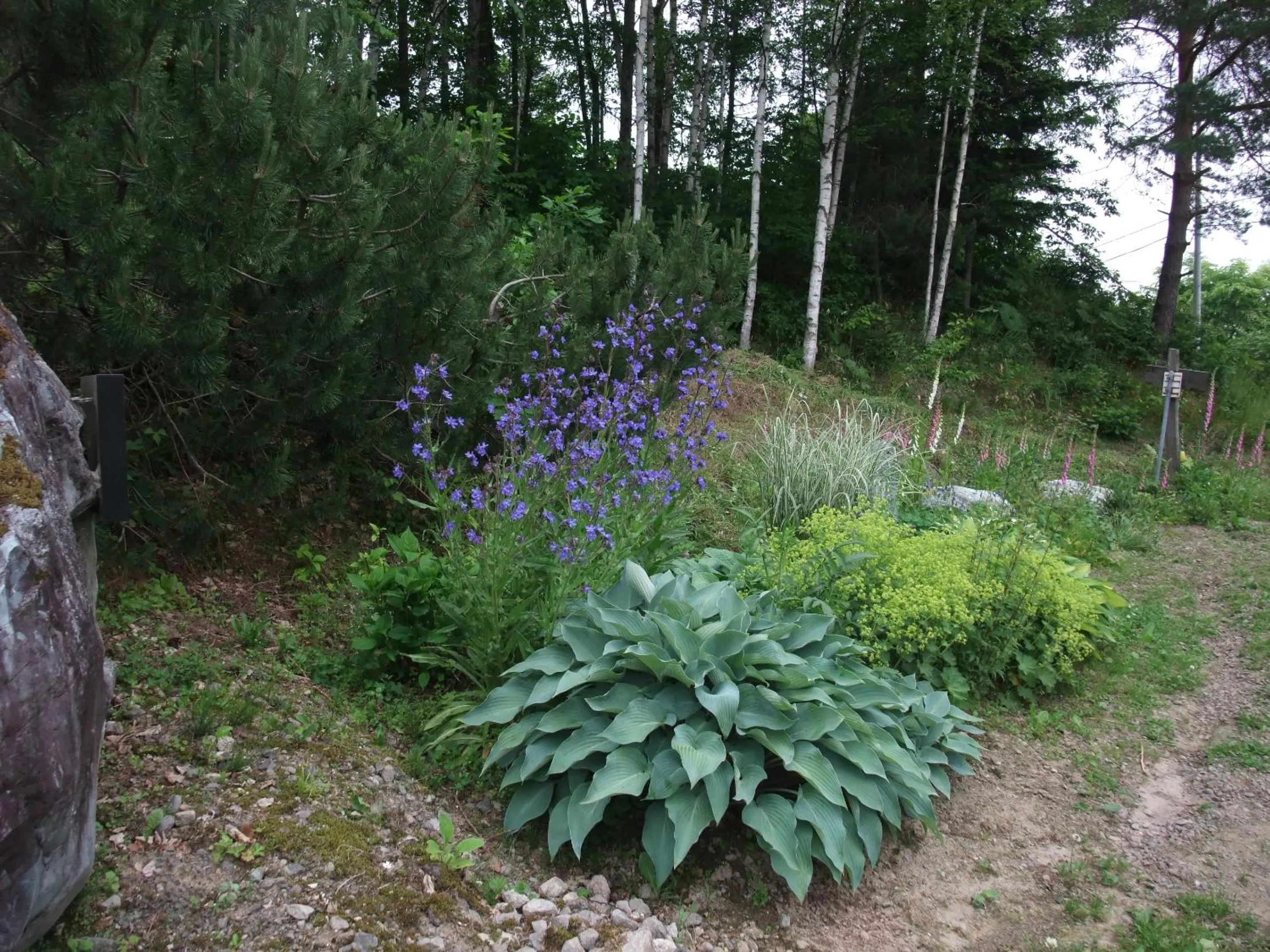 Garden in Coro Coro
