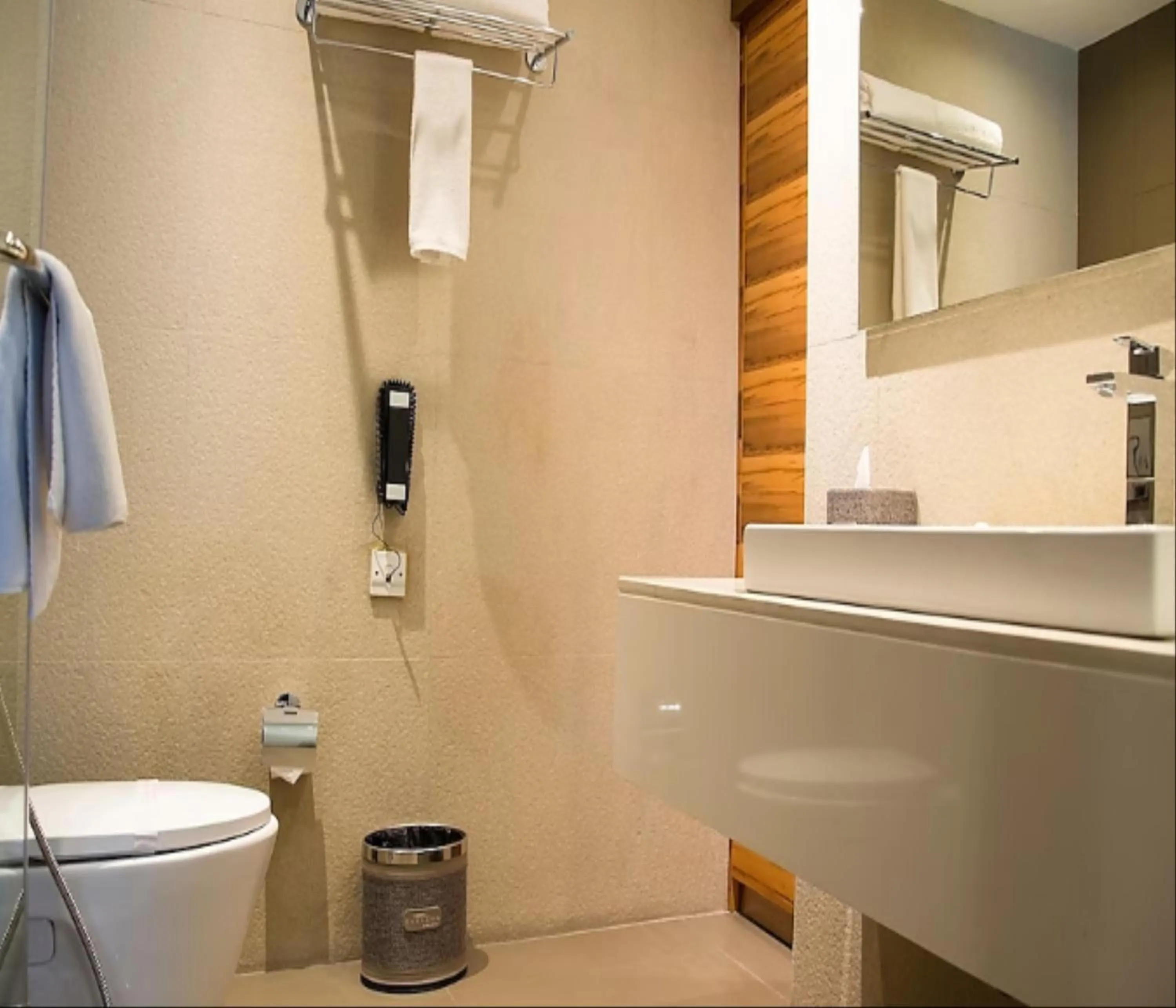 Toilet in Barsana Boutique Hotel - Pure vegetarian