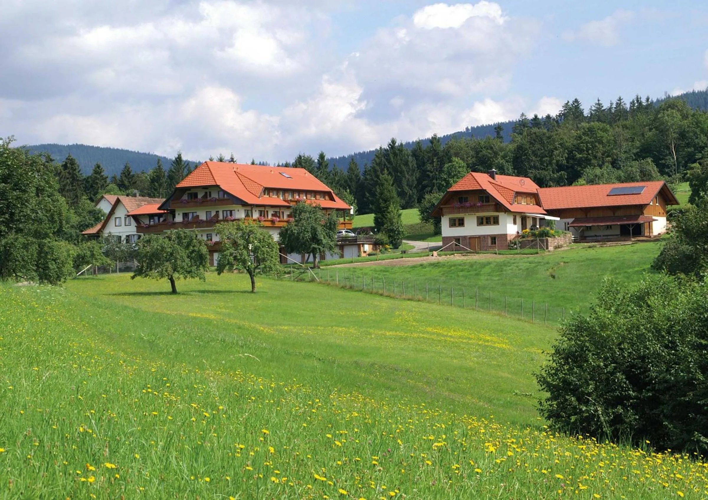 Hotel zum Breitenberg