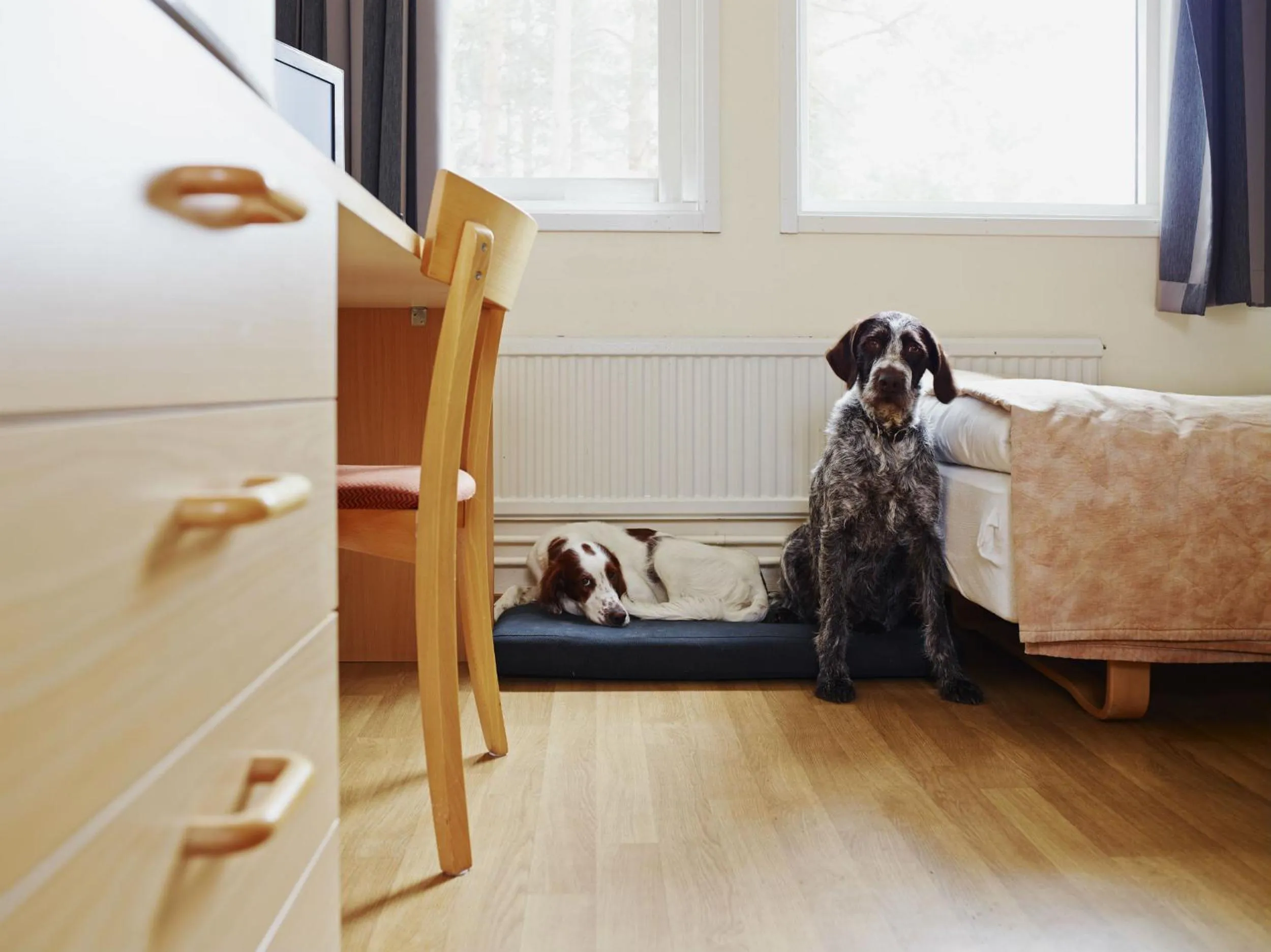 Photo of the whole room in Hotell Sport & Rest