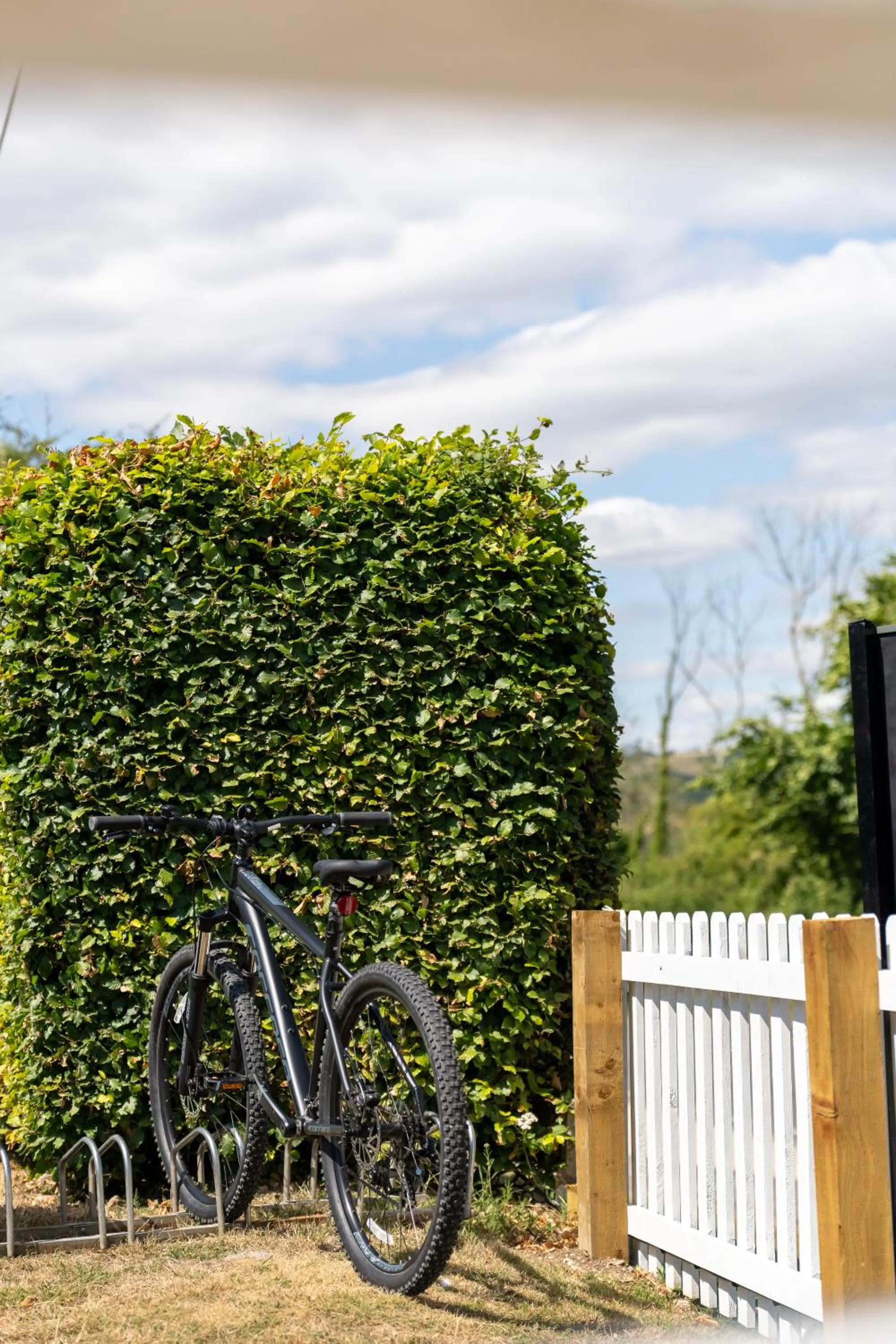 Day in The Hampshire Hog