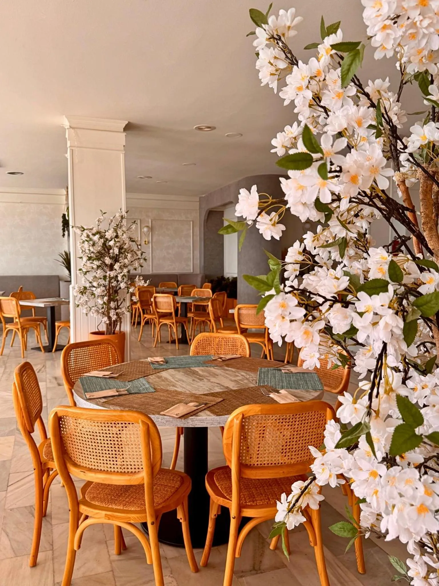 Restaurant/places to eat in Hotel Santa Rosa