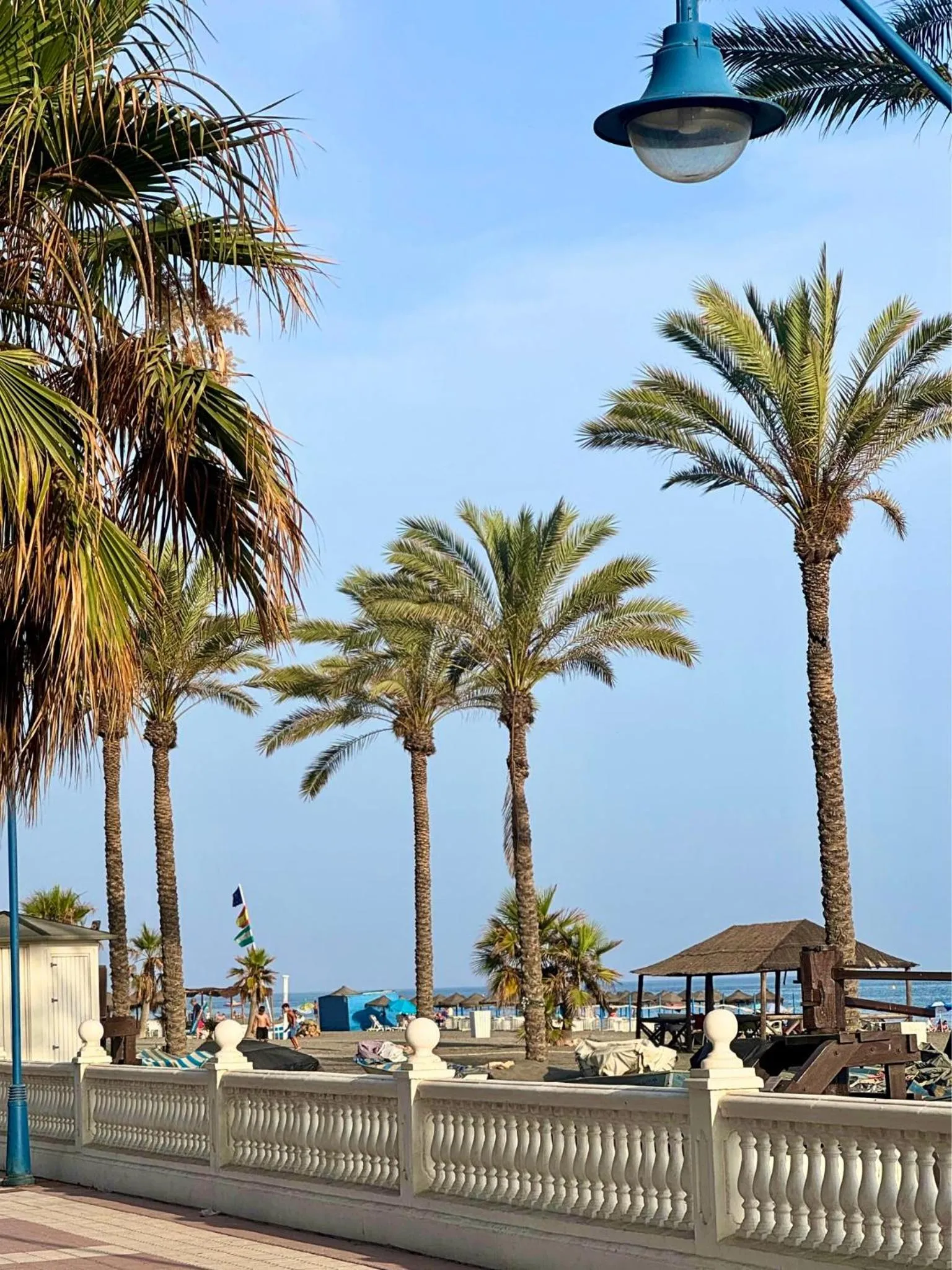 Natural landscape in Hotel Santa Rosa