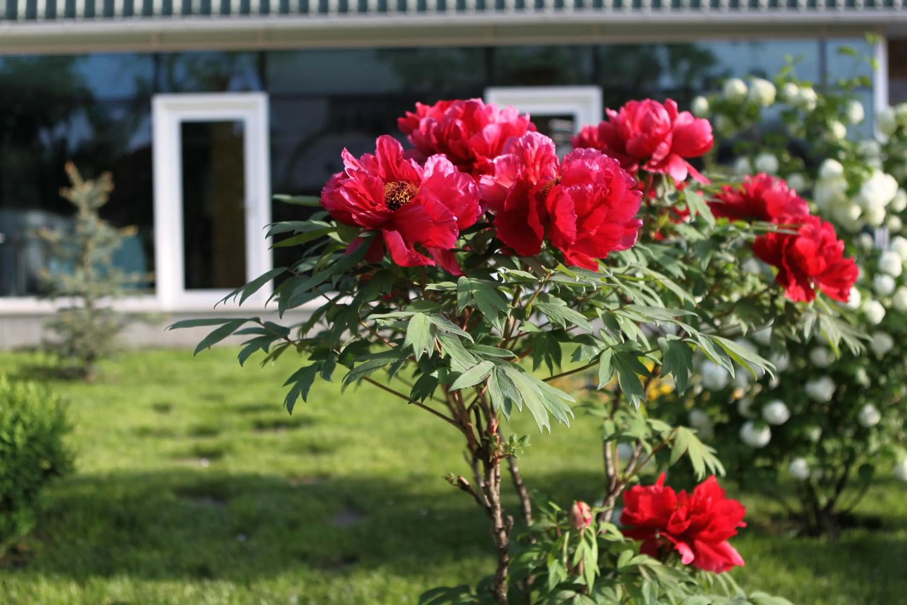 Decorative detail in Hotel Jasmine
