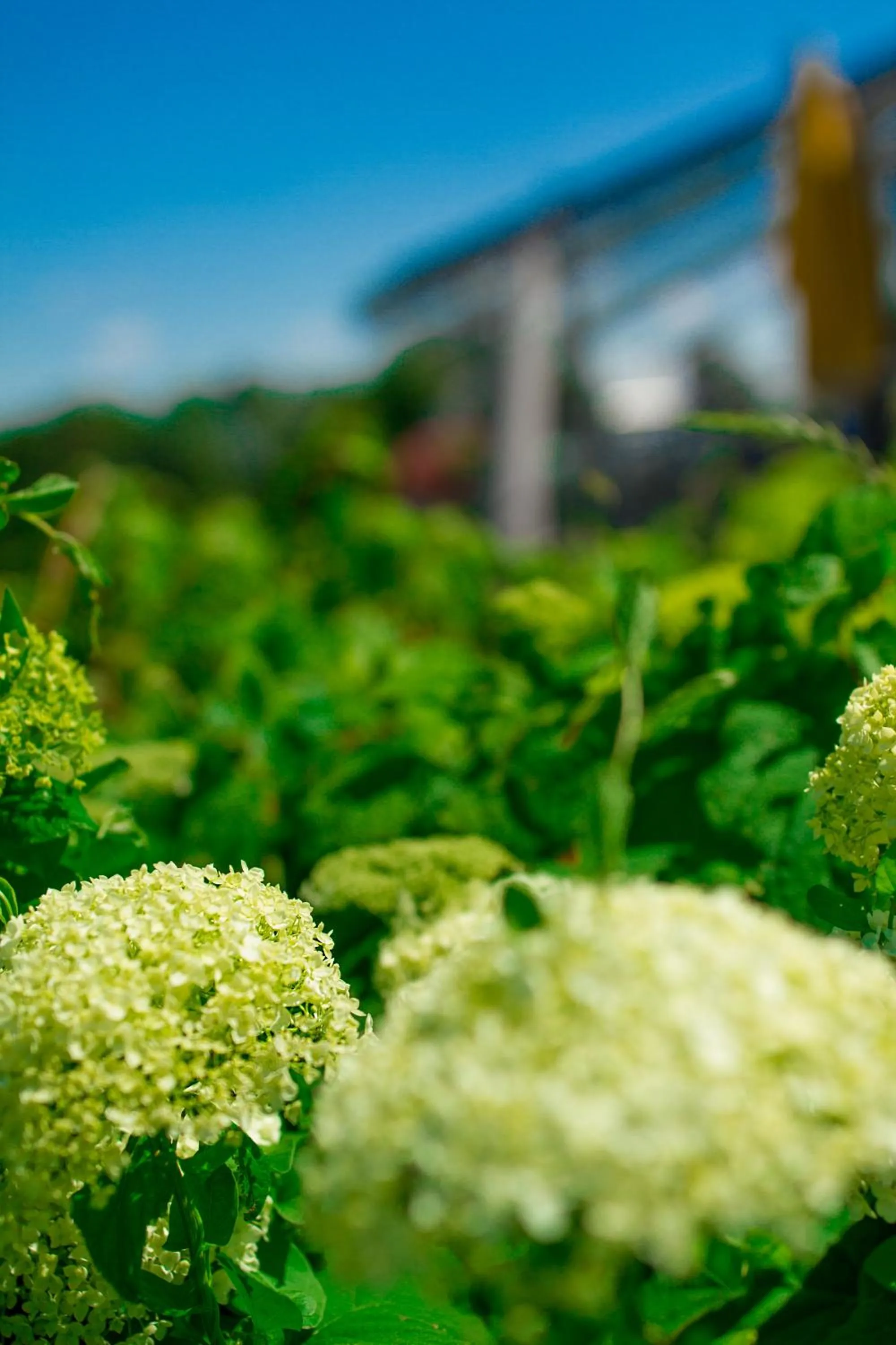 Garden in Stausee-Hotel