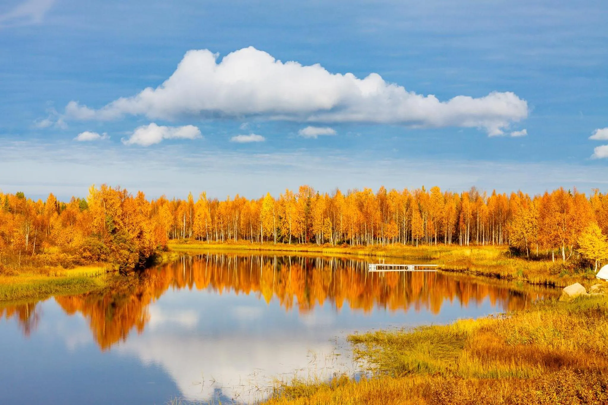 Natural landscape in Hotel Mestarin Kievari