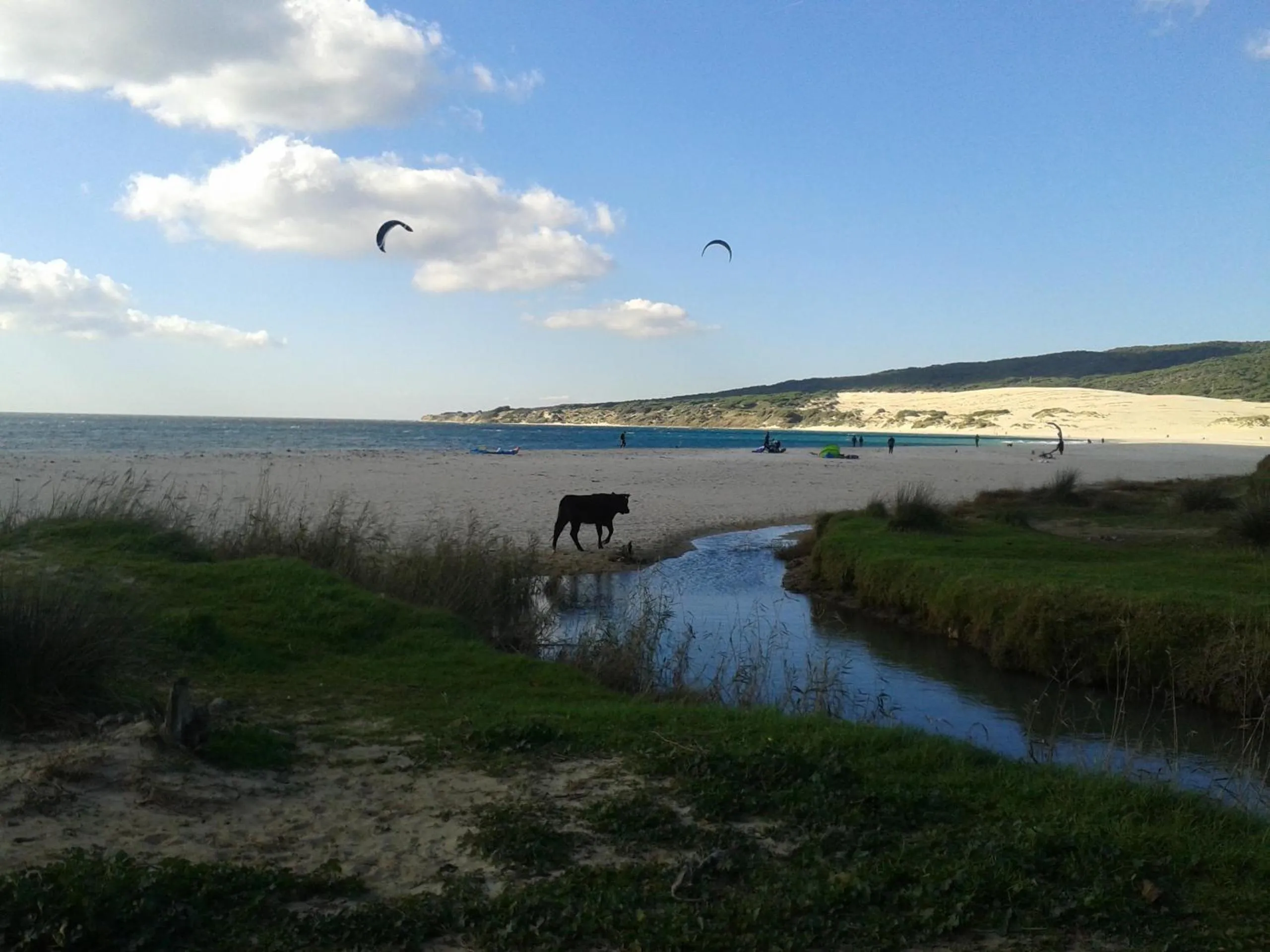 Beach in Hotel-Apart CORTIJO LAS PIÑAS