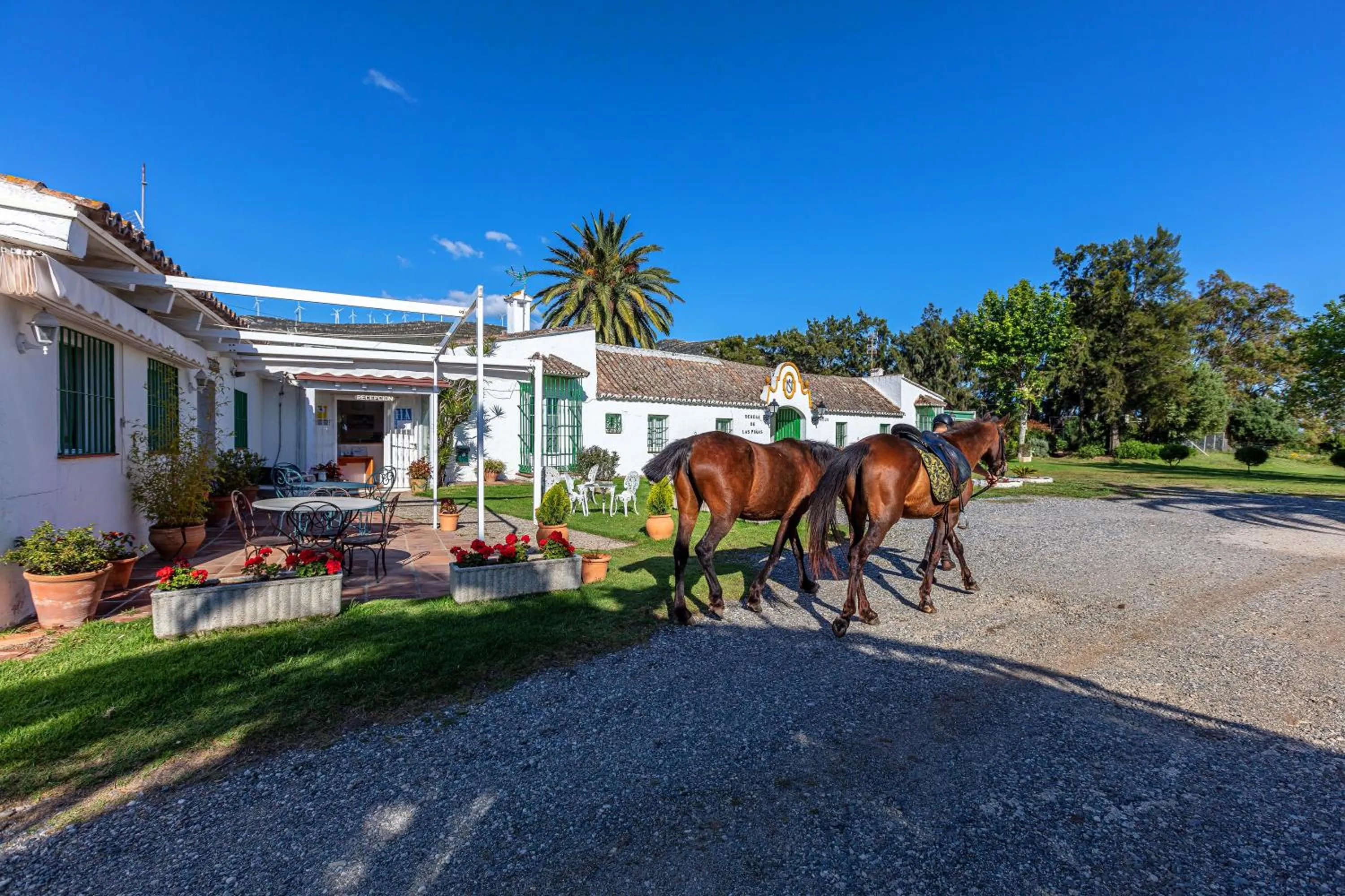 Property building in Hotel-Apart CORTIJO LAS PIÑAS