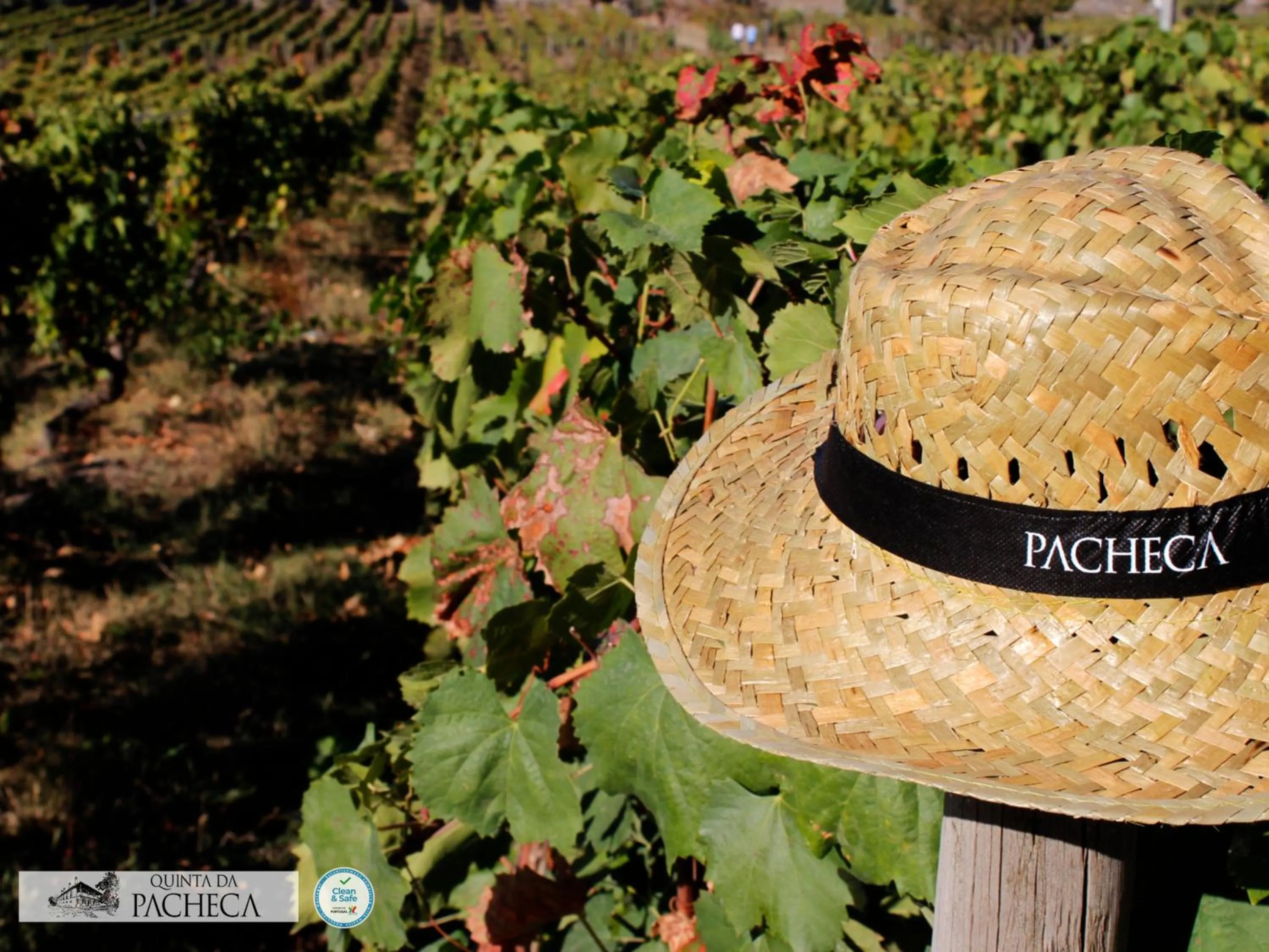 Pacheca The Wine House Hotel e Spa - Quinta da Pacheca
