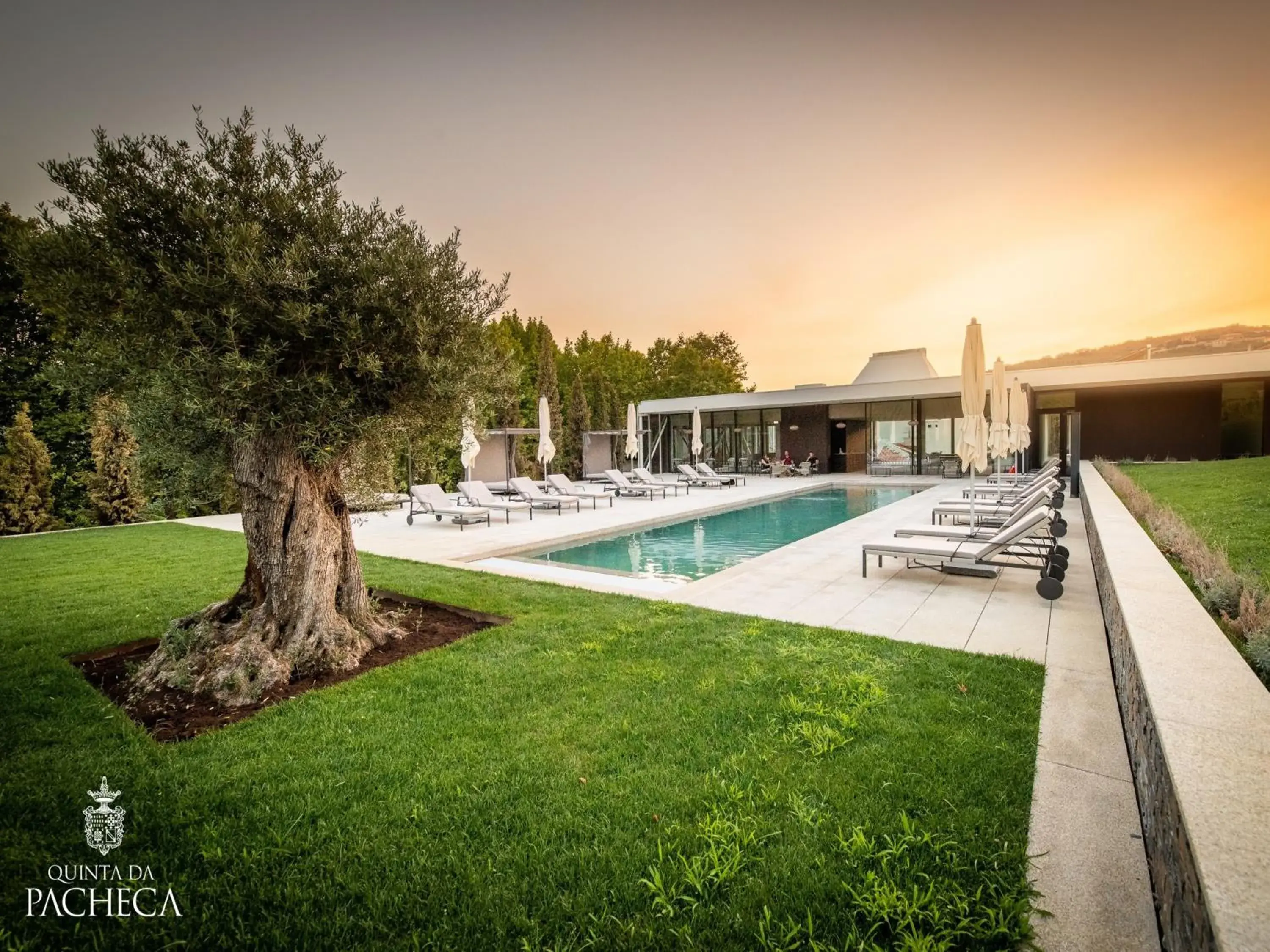 Swimming pool in Pacheca The Wine House Hotel e Spa - Quinta da Pacheca Swimming pool in Pacheca The Wine House Hotel e Spa - Quinta da Pacheca