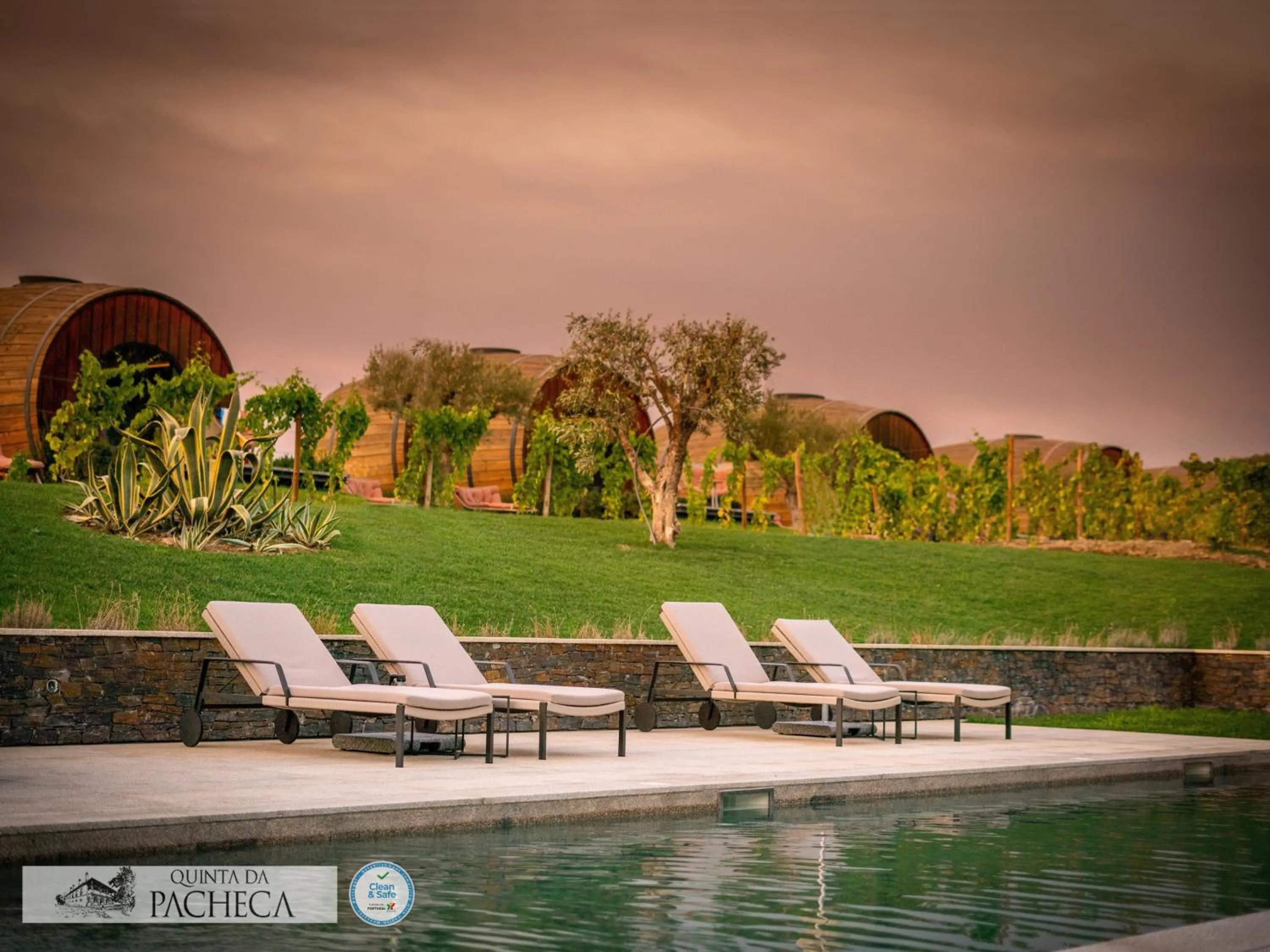 Swimming pool in Pacheca The Wine House Hotel e Spa - Quinta da Pacheca