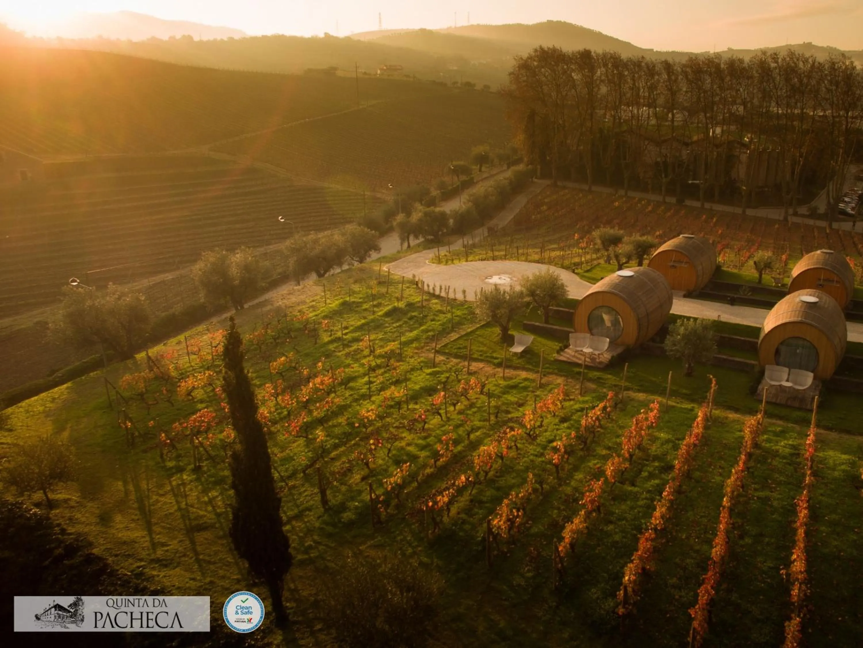 Garden view in Pacheca The Wine House Hotel e Spa - Quinta da Pacheca