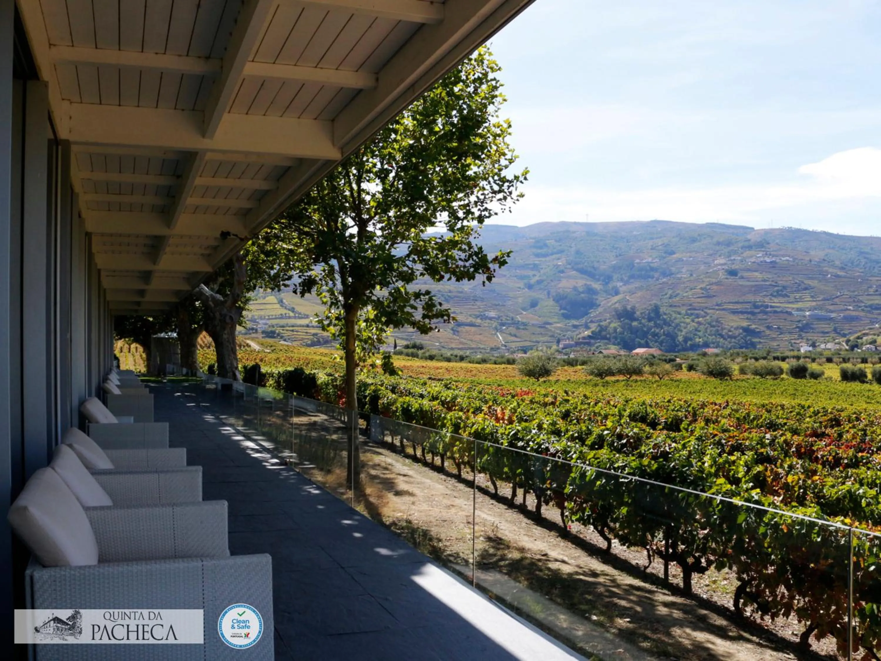 Pacheca The Wine House Hotel e Spa - Quinta da Pacheca