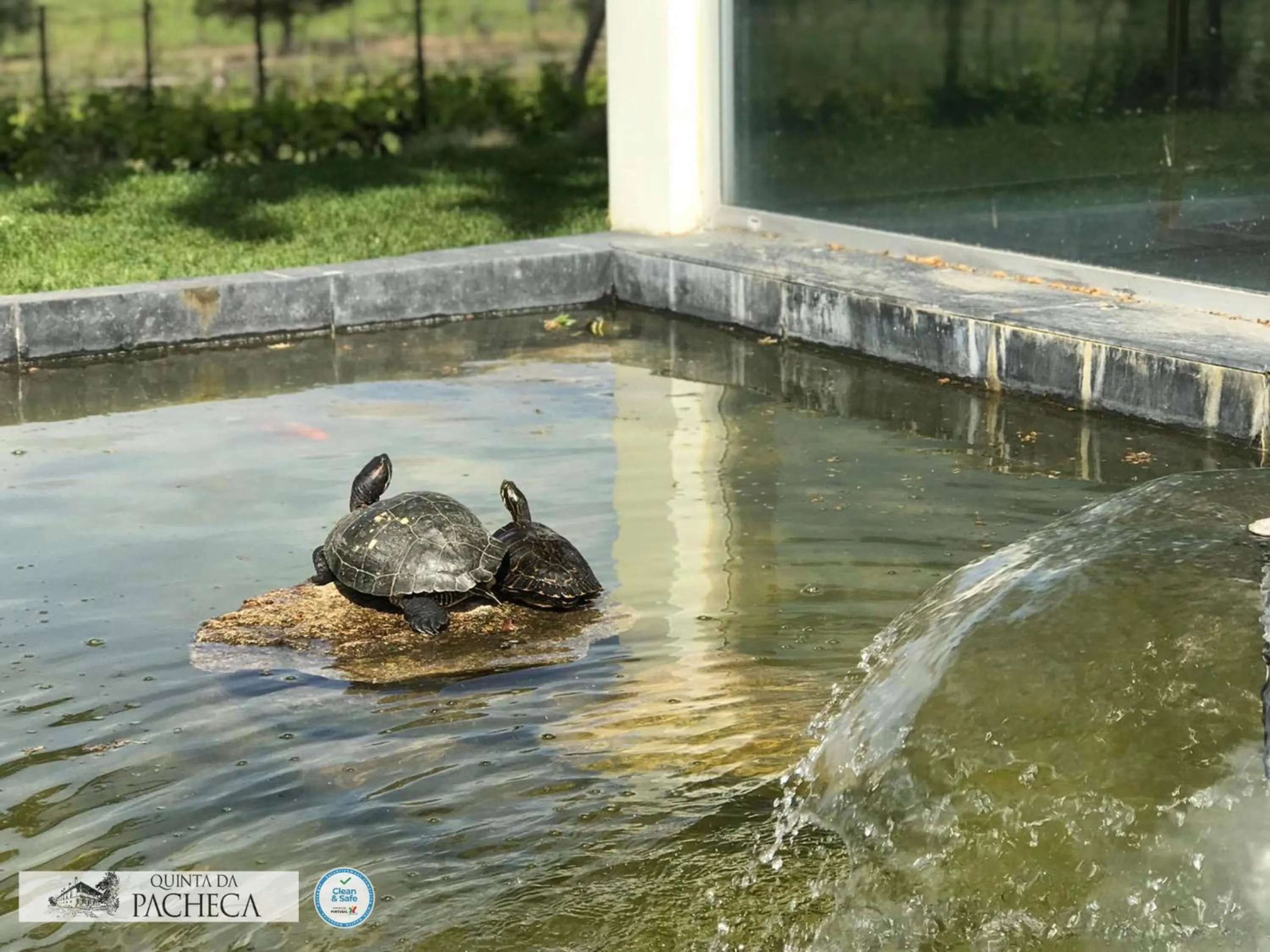 Pacheca The Wine House Hotel e Spa - Quinta da Pacheca