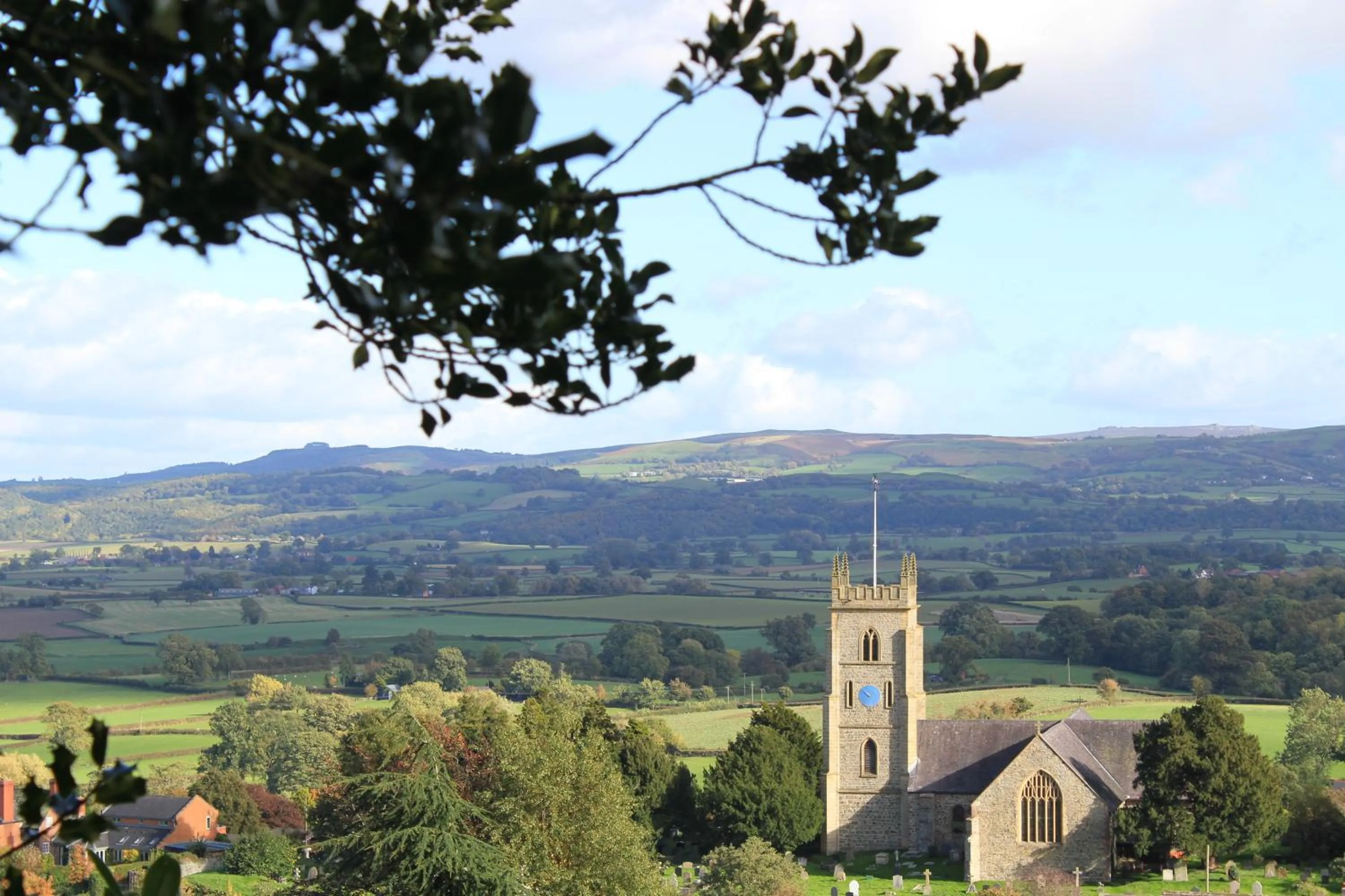 Area and facilities in The Dragon Hotel