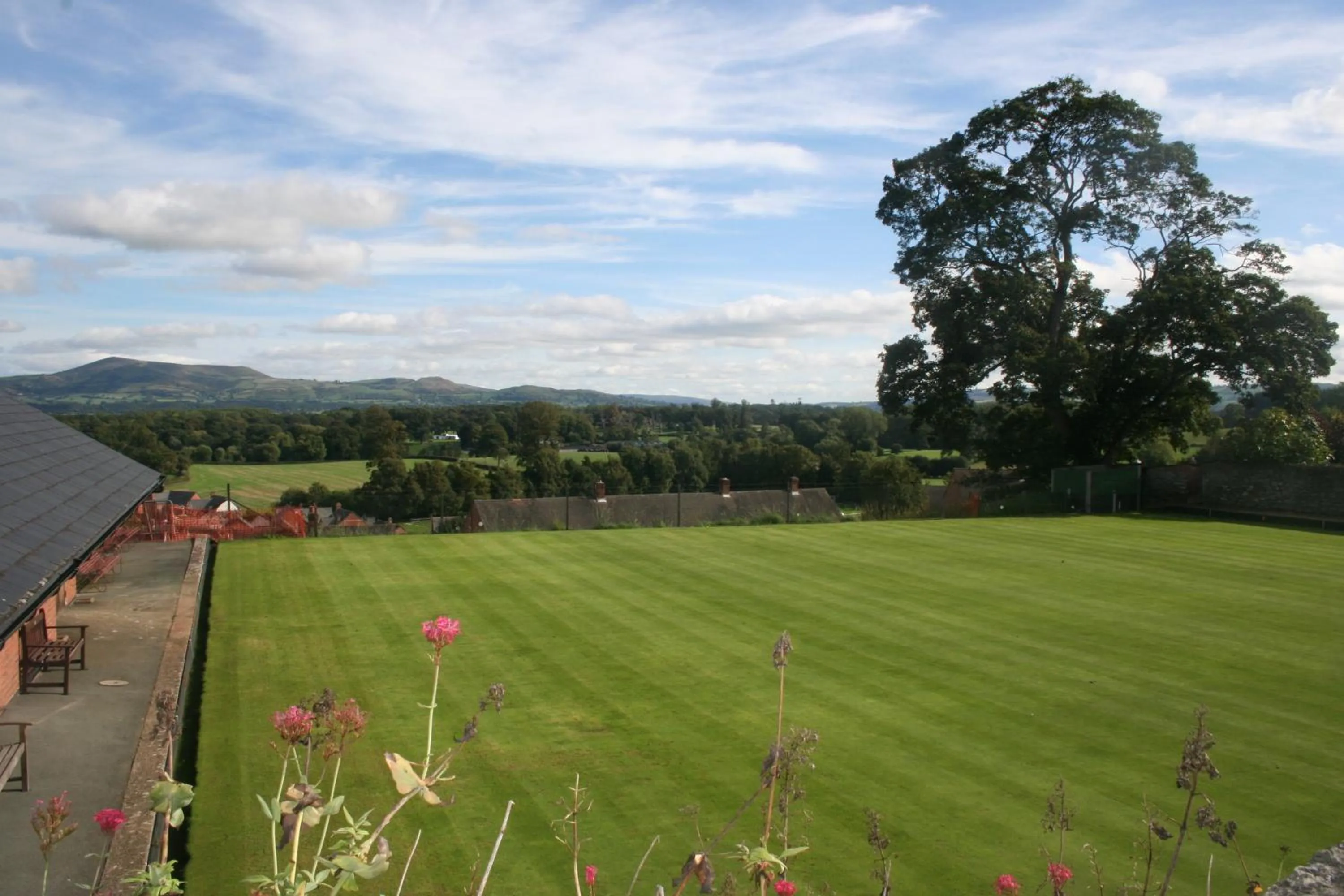 Area and facilities in The Dragon Hotel