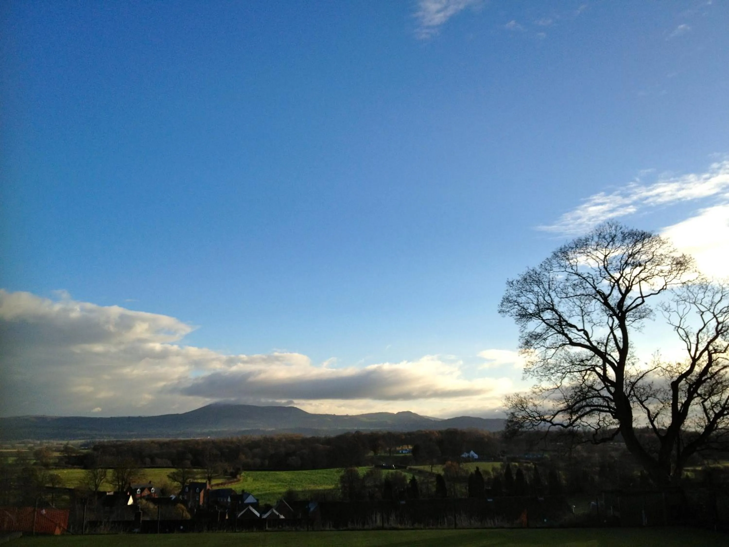 Area and facilities in The Dragon Hotel