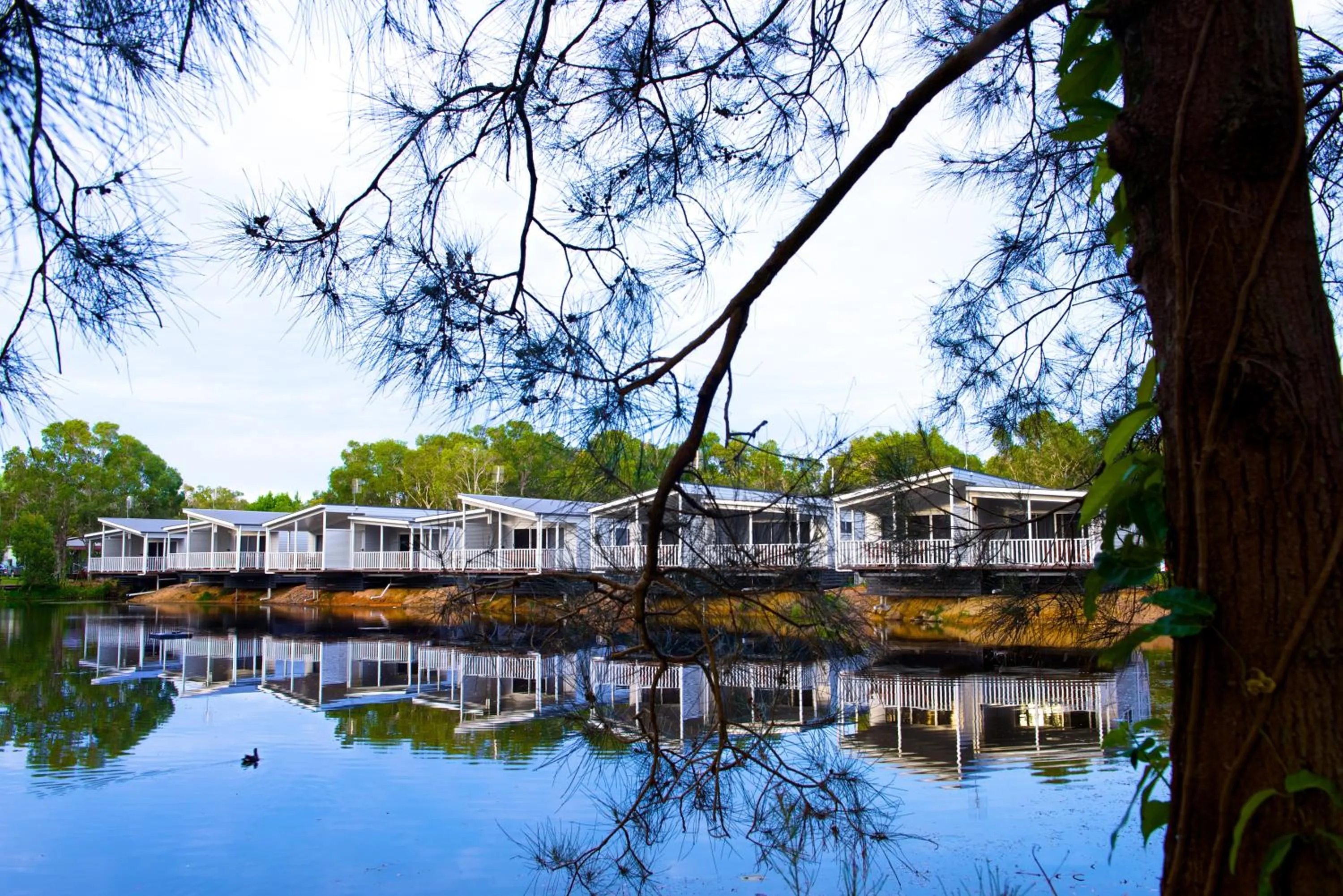 Garden in Discovery Parks - Byron Bay