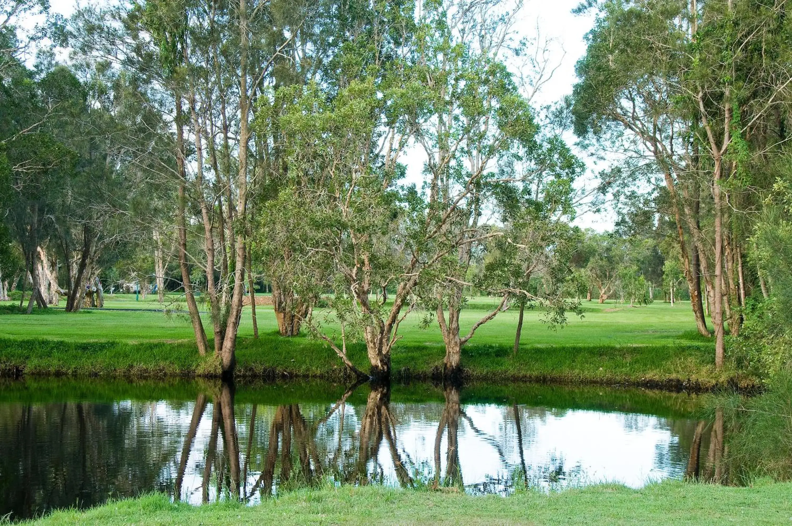 Garden in Discovery Parks - Byron Bay