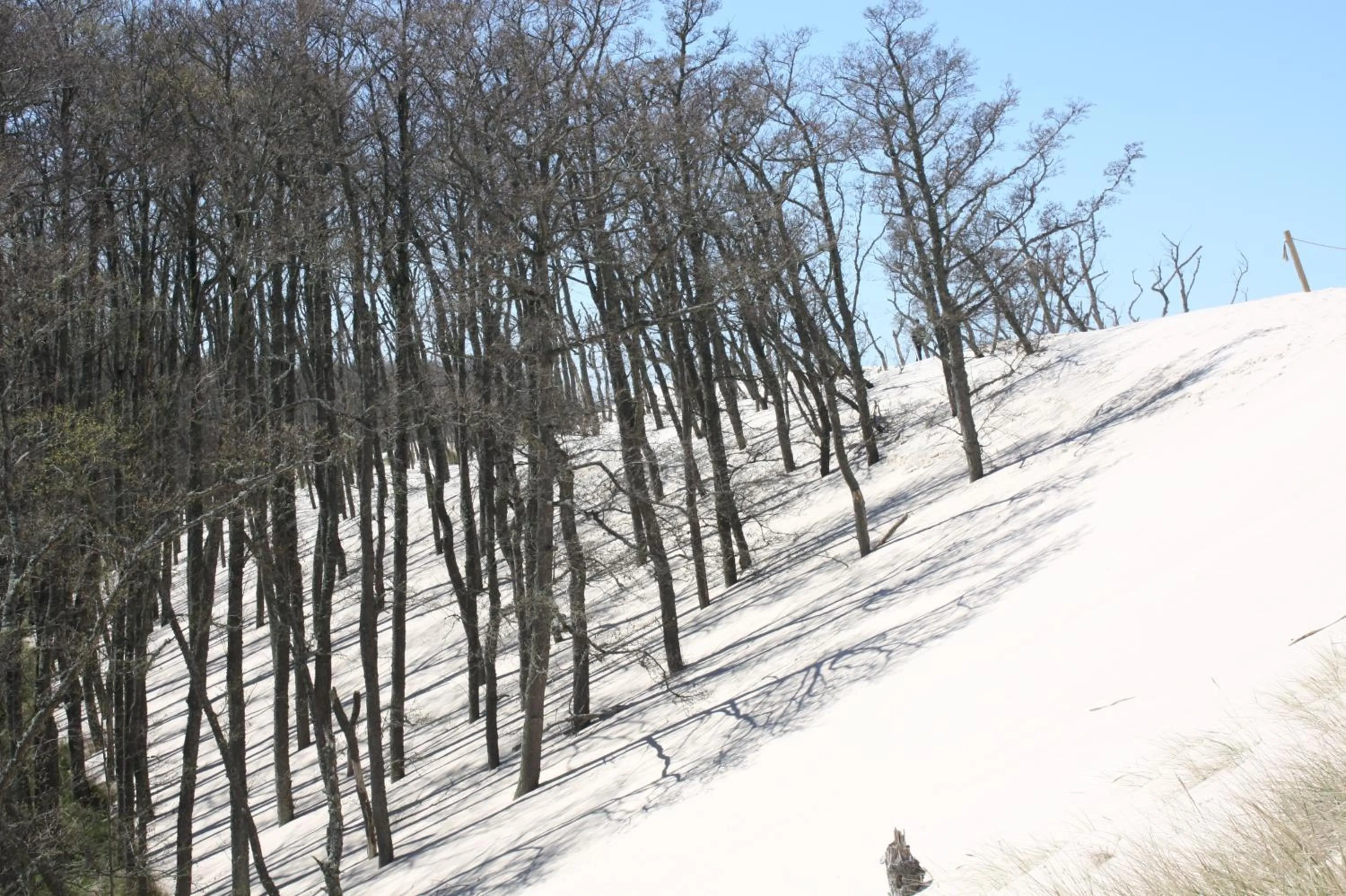 Off site in Villa Karo