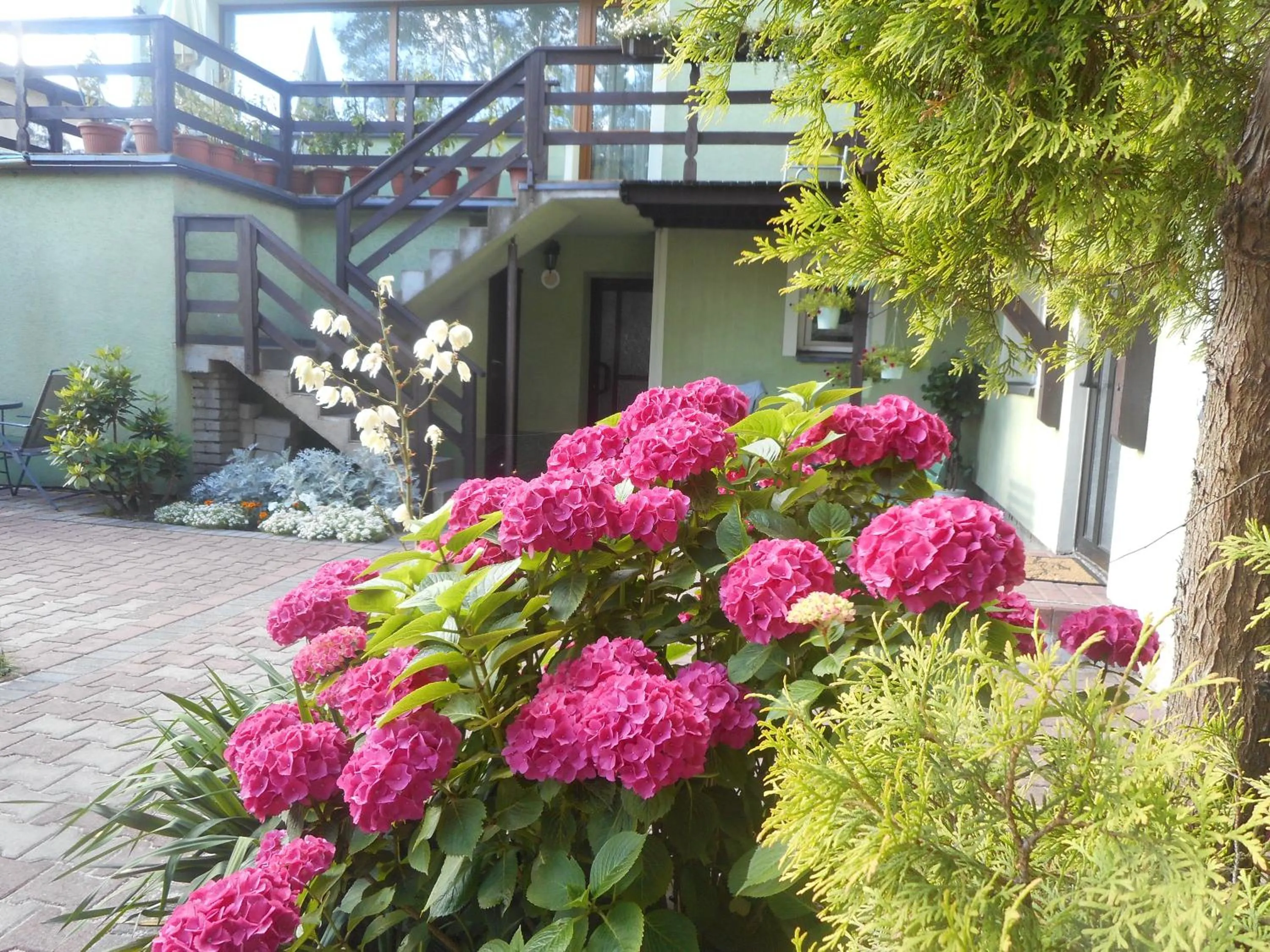 Garden in Villa Karo