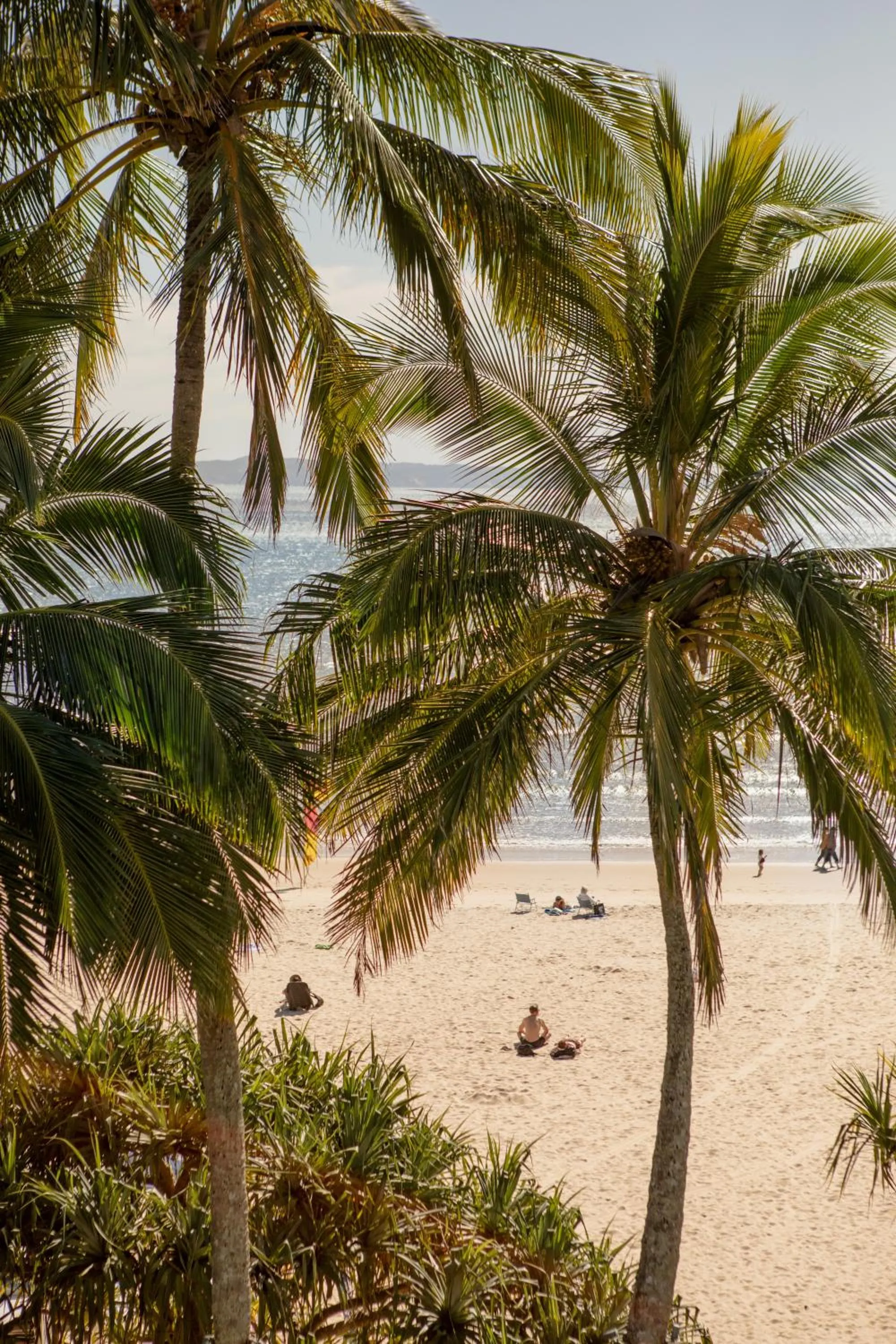 Natural landscape in Netanya Noosa Beachfront Resort