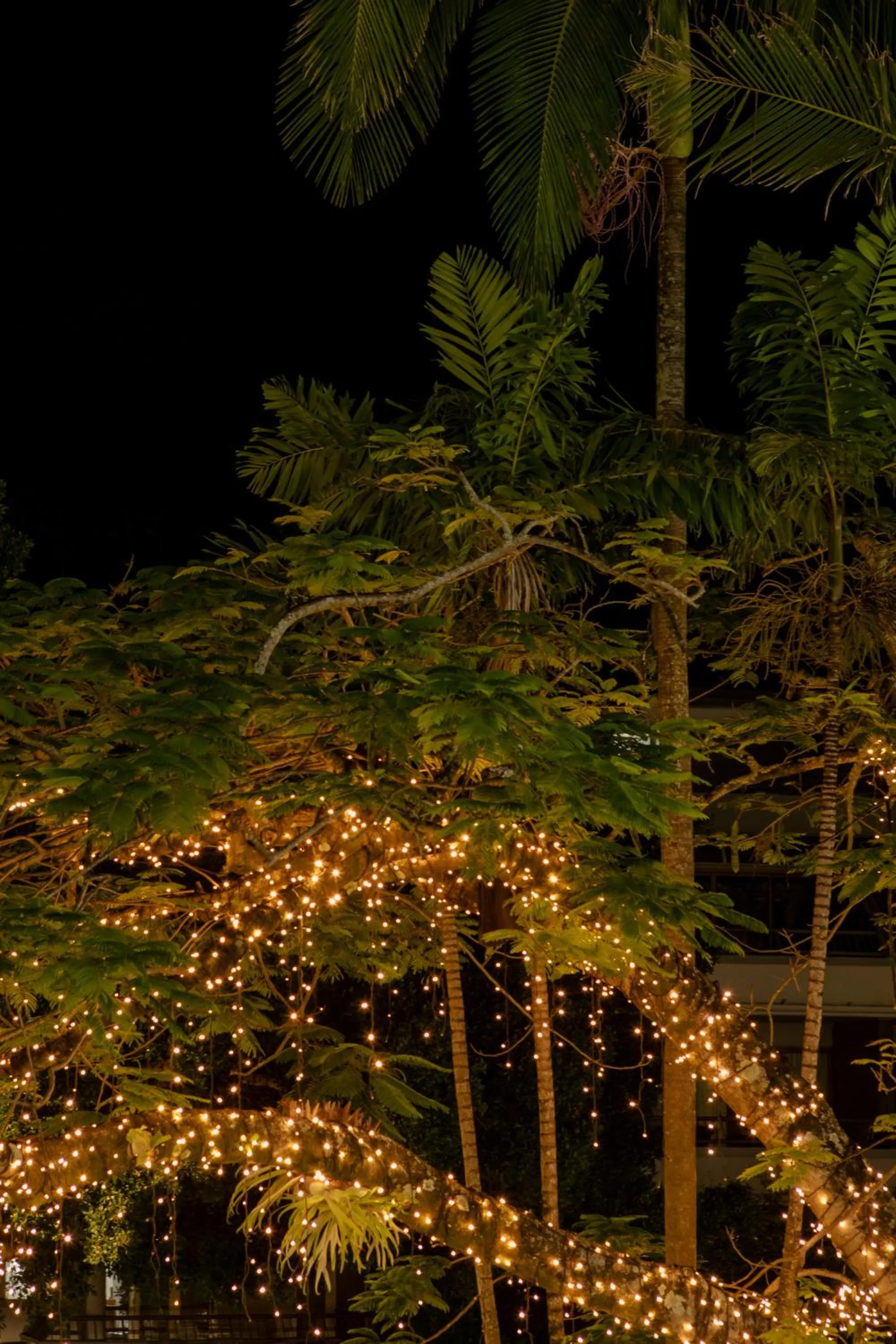 Night in Netanya Noosa Beachfront Resort