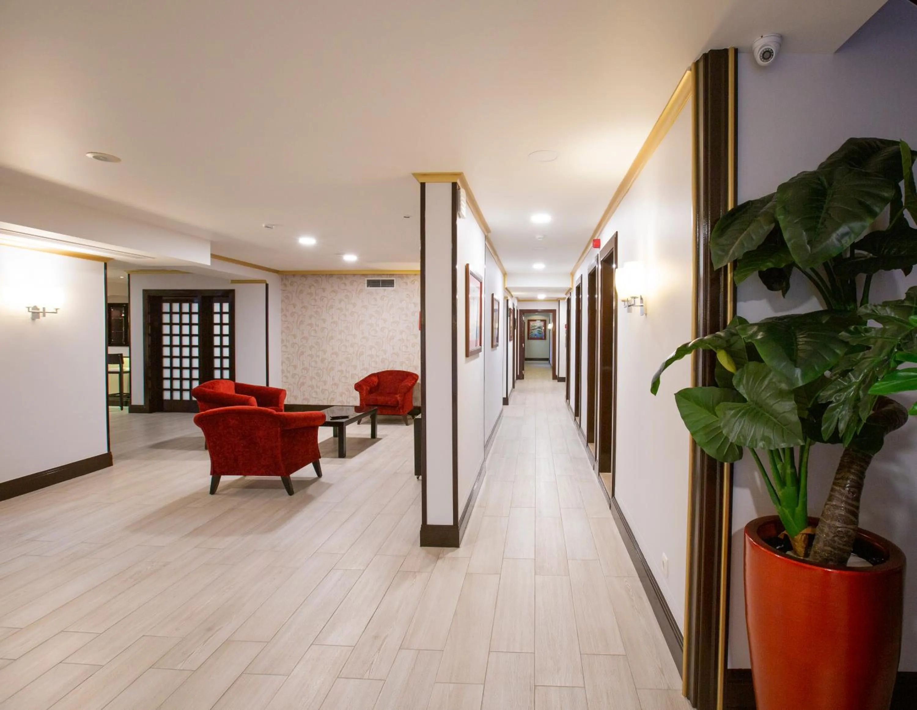 Communal lounge/ TV room in Veneza Hotel