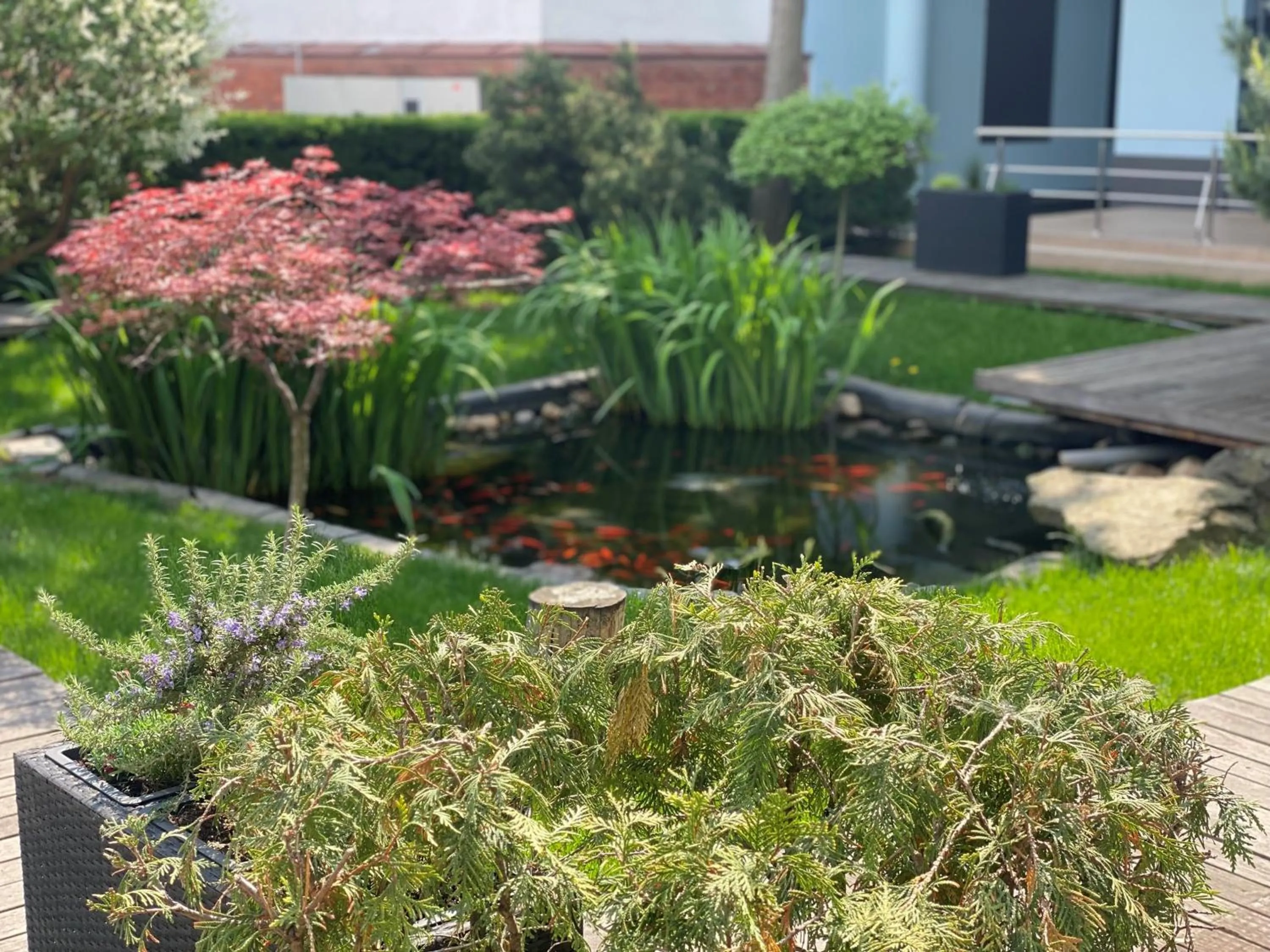 Lake view in Reghina Blue Hotel