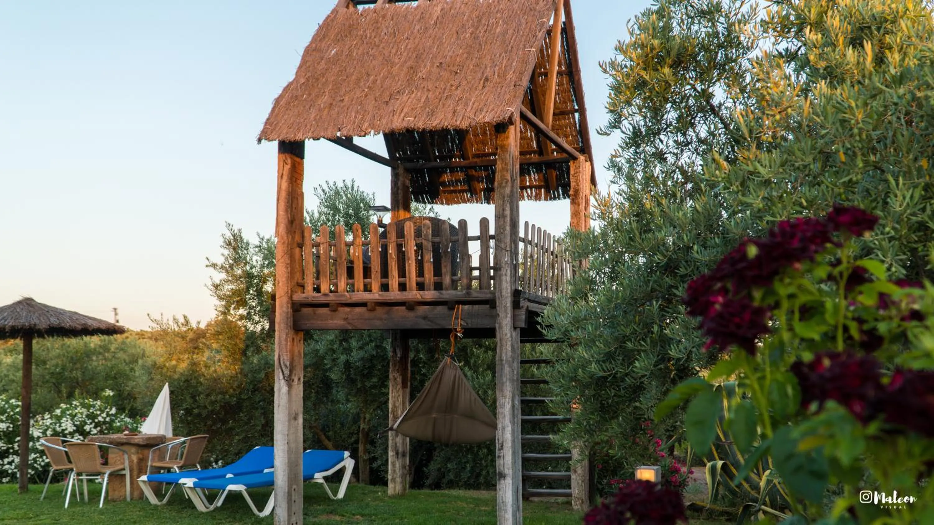 Swimming pool in Molino La Nava
