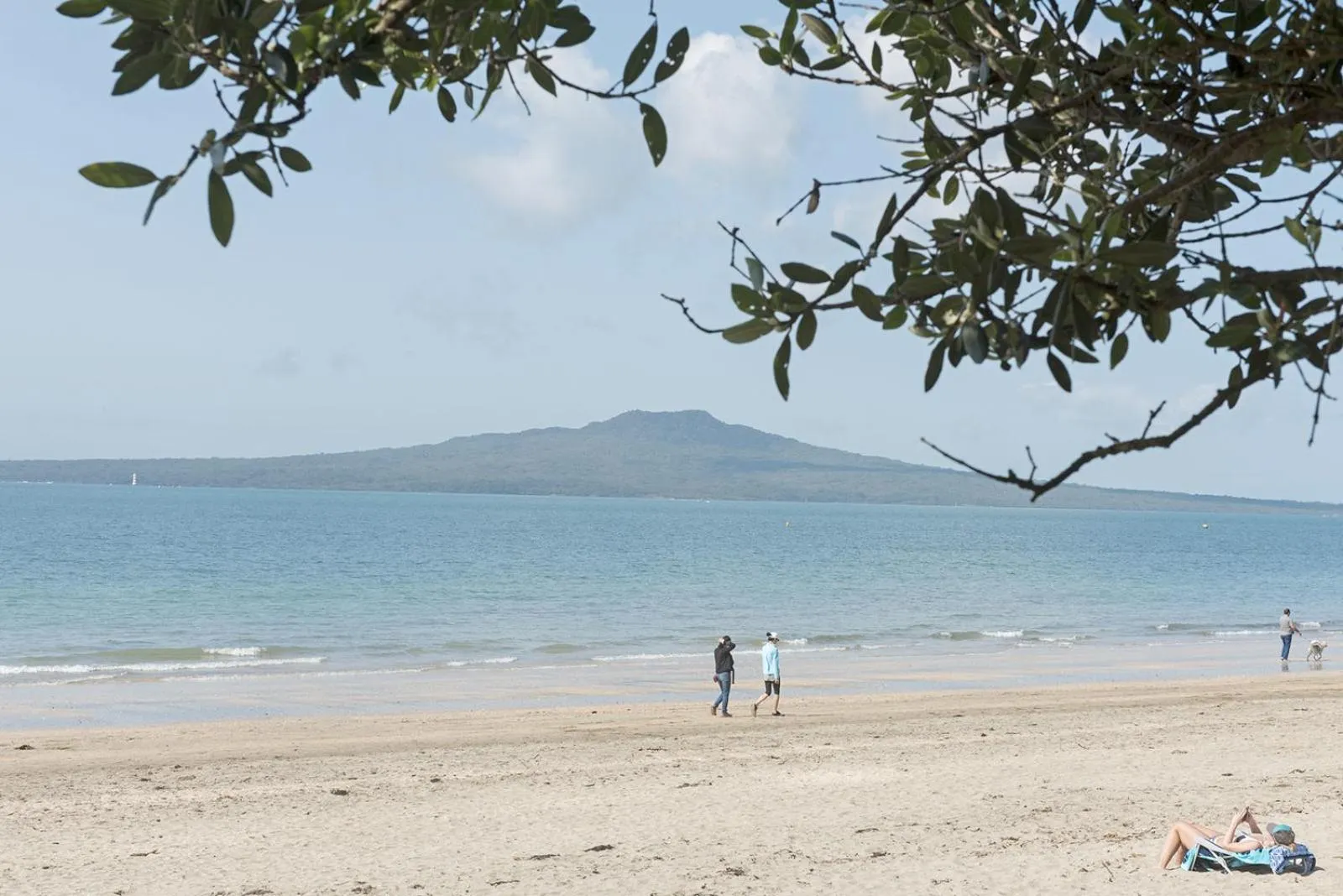 Beach in Carnmore Hotel Takapuna