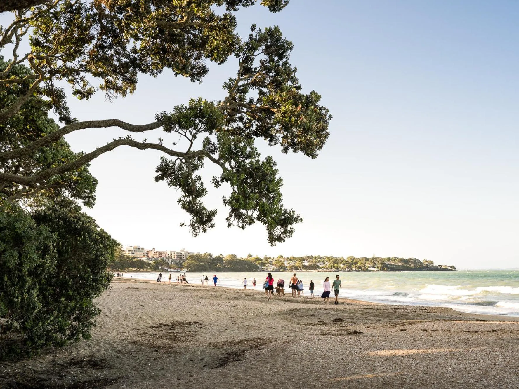 Beach in Carnmore Hotel Takapuna