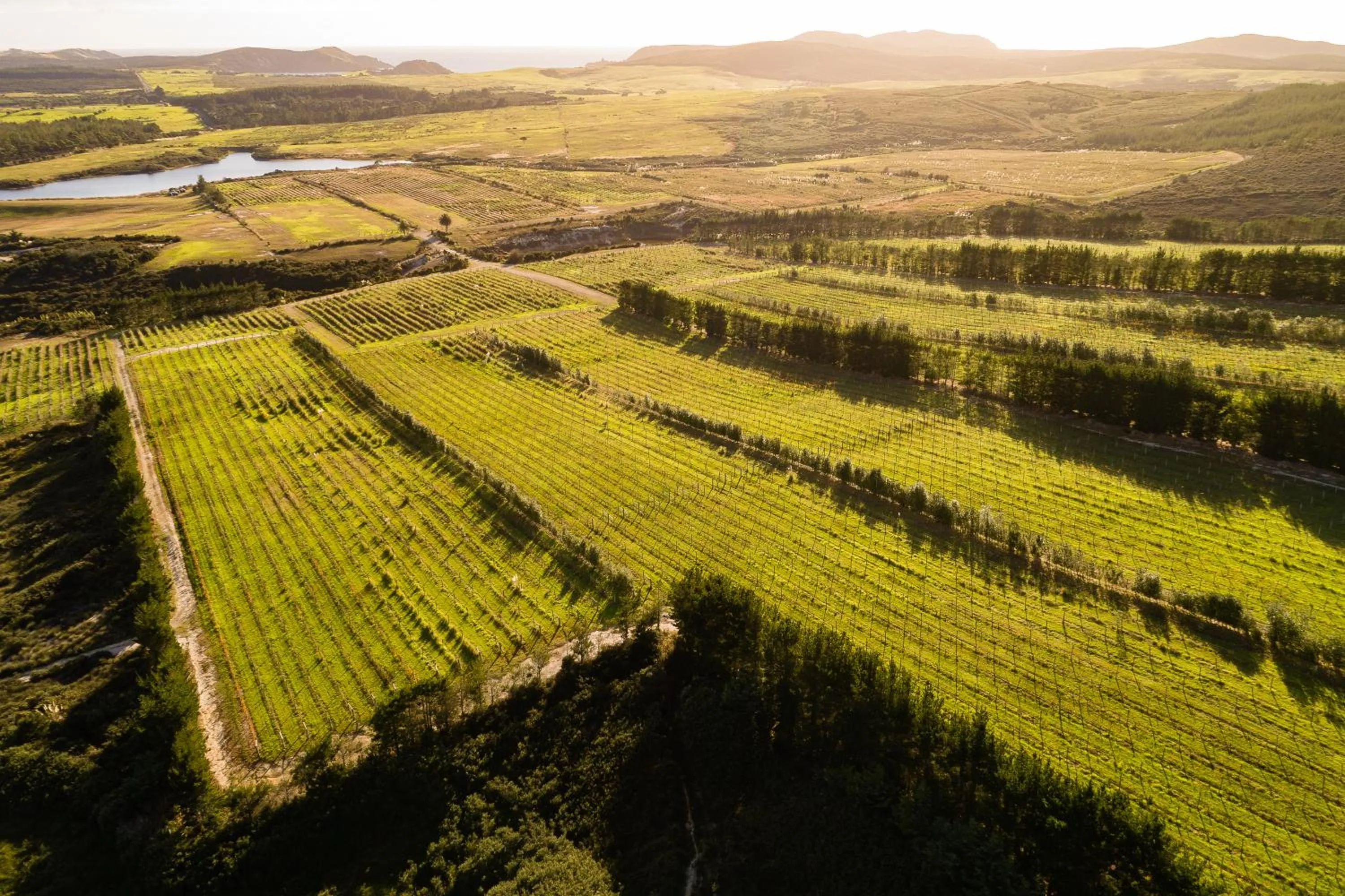 Day in Carrington Estate