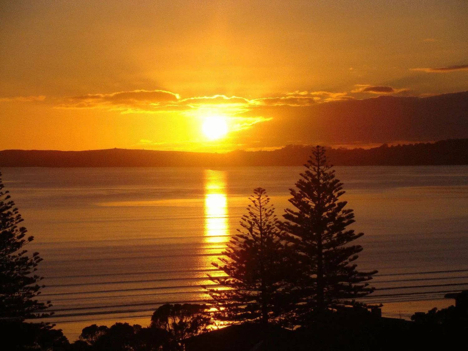 View (from property/room) in Marsden Suites Nautilus Orewa