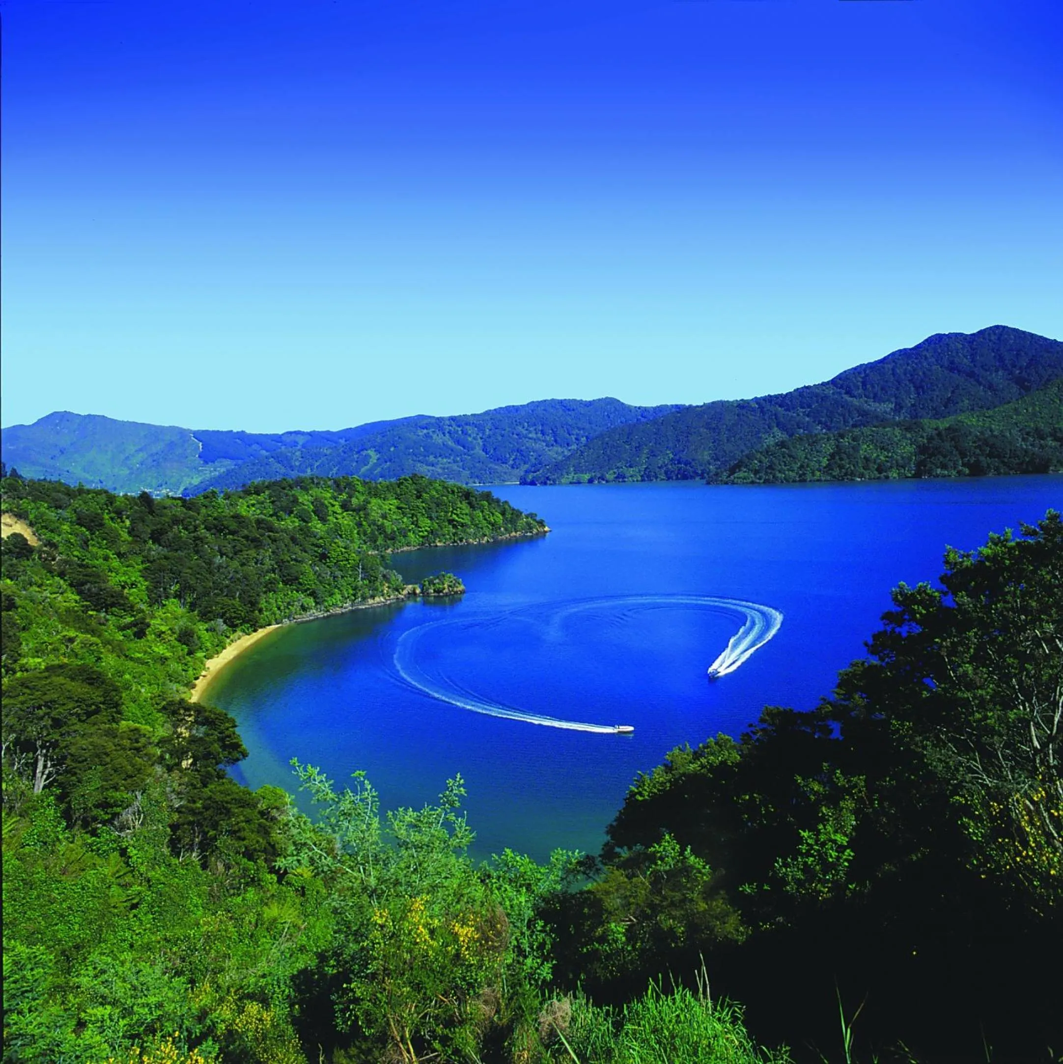 Area and facilities in Edit Picton