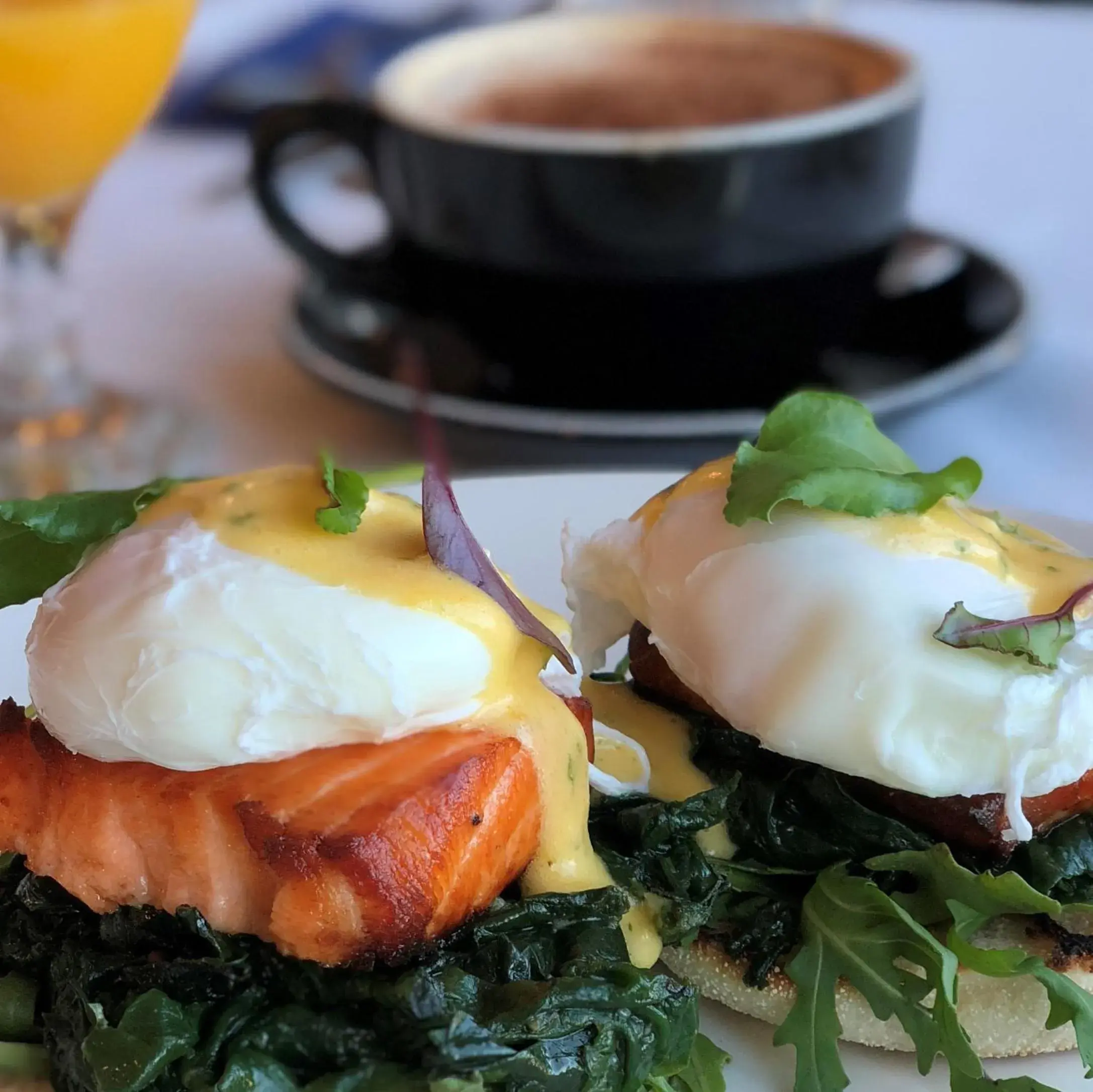 Food close-up in Edit Picton Food close-up in Edit Picton