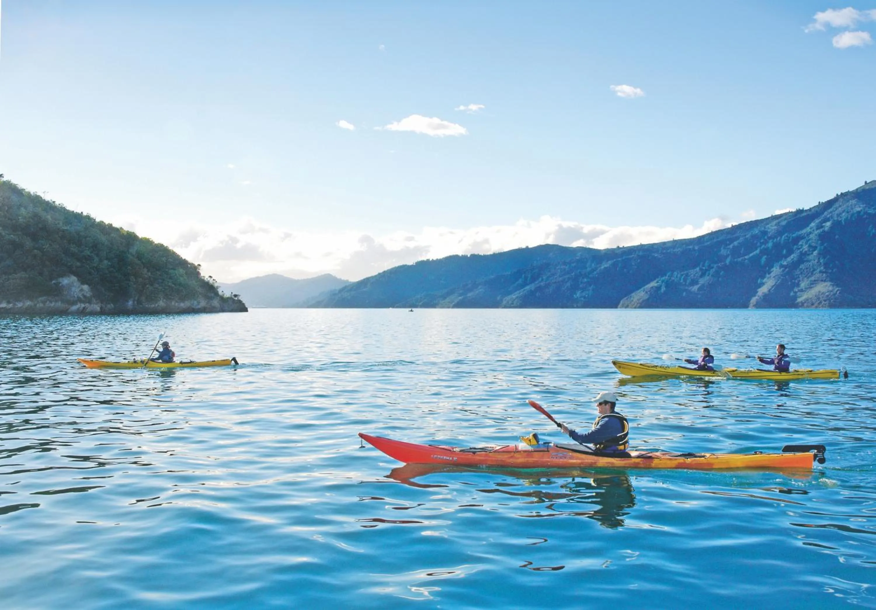 Area and facilities in Edit Picton