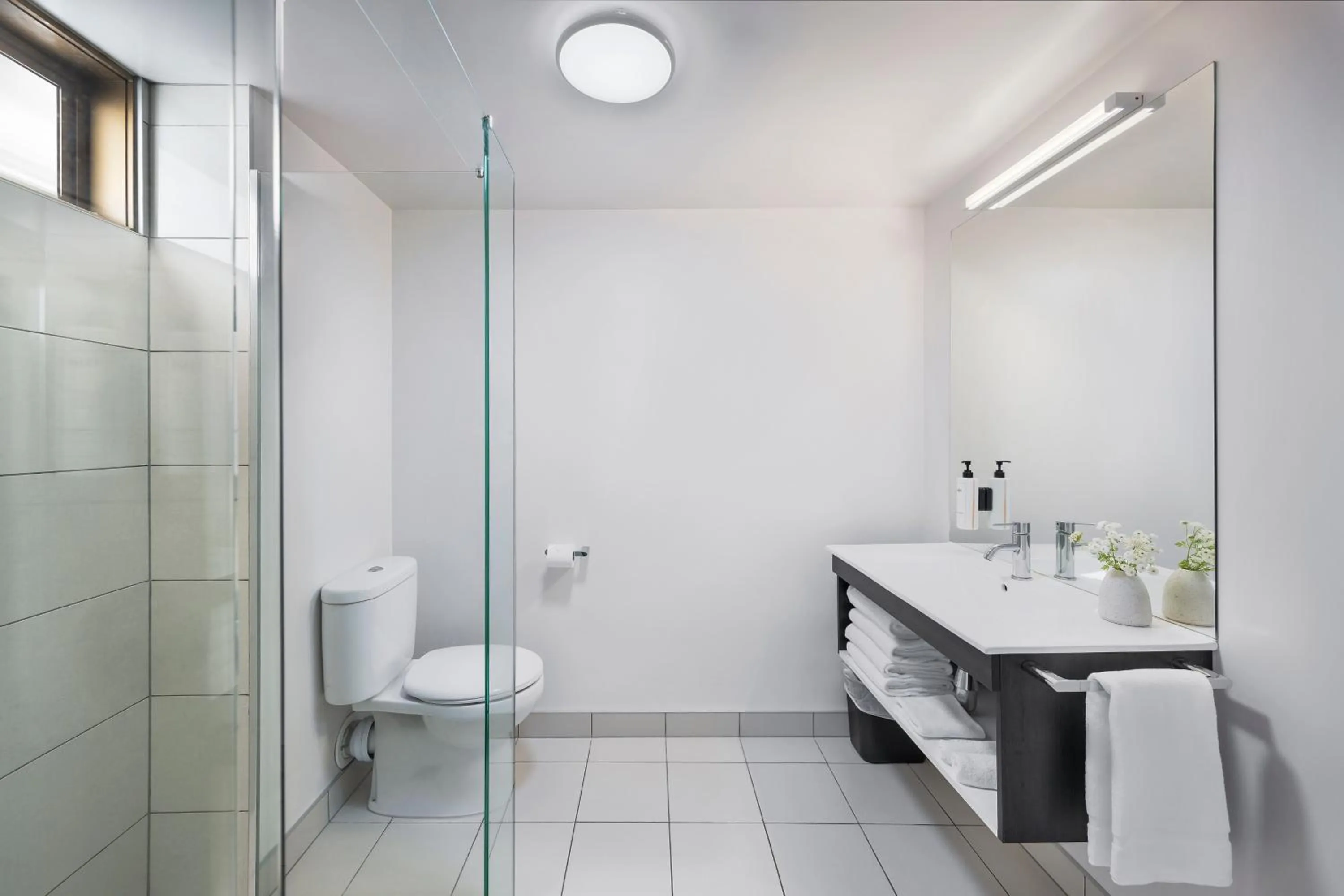 Toilet in Edit Picton