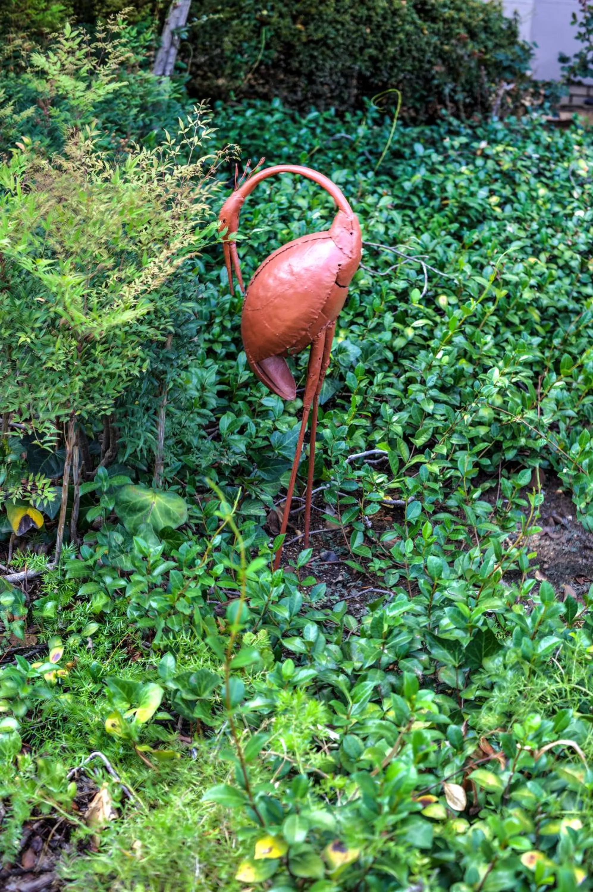 Garden in Town Lodge Waterfall, Midrand