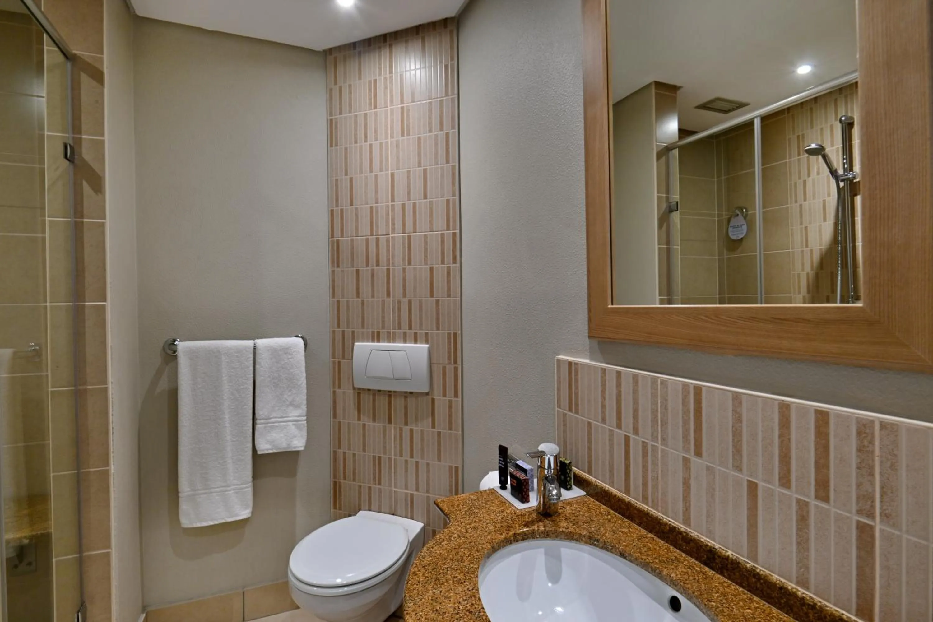 Toilet in Town Lodge Gqeberha