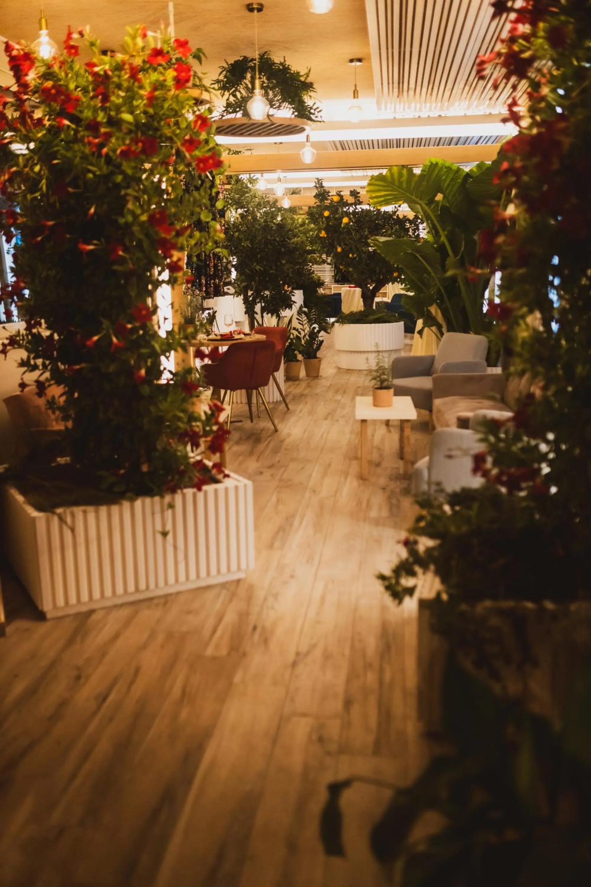 Sentido Michelizia Tropea Resort