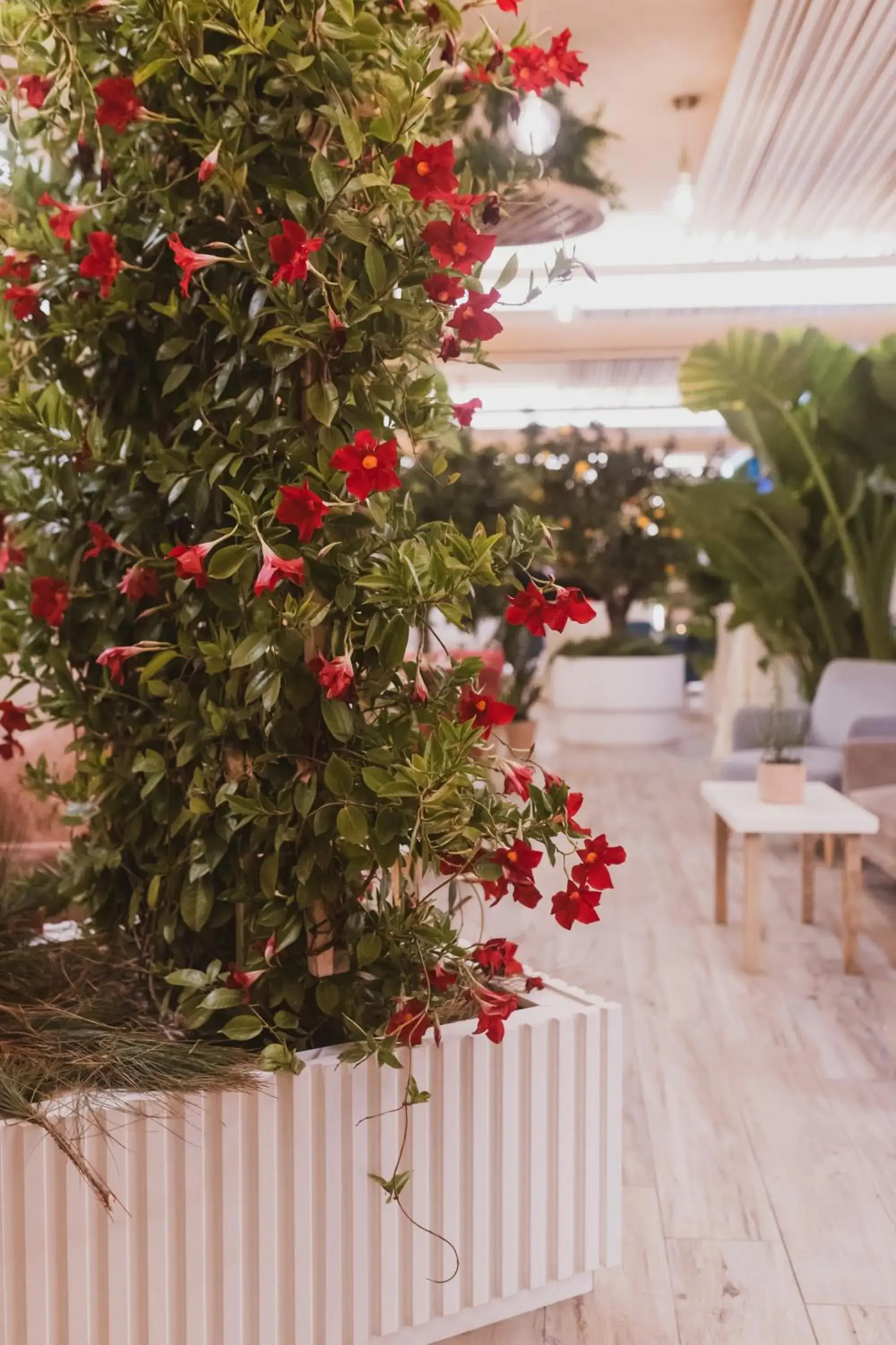 Sentido Michelizia Tropea Resort Sentido Michelizia Tropea Resort