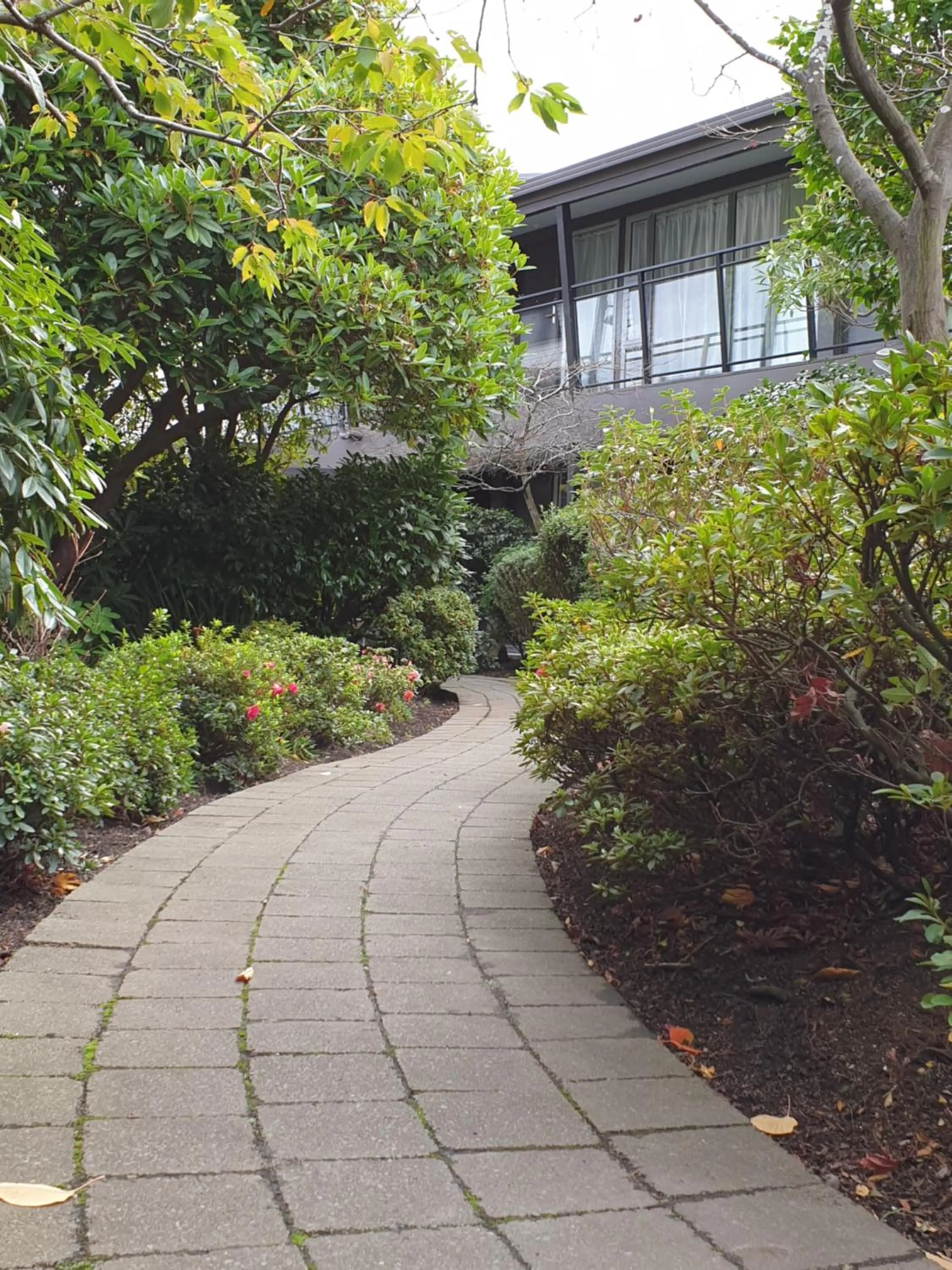 Garden in Aurora on George